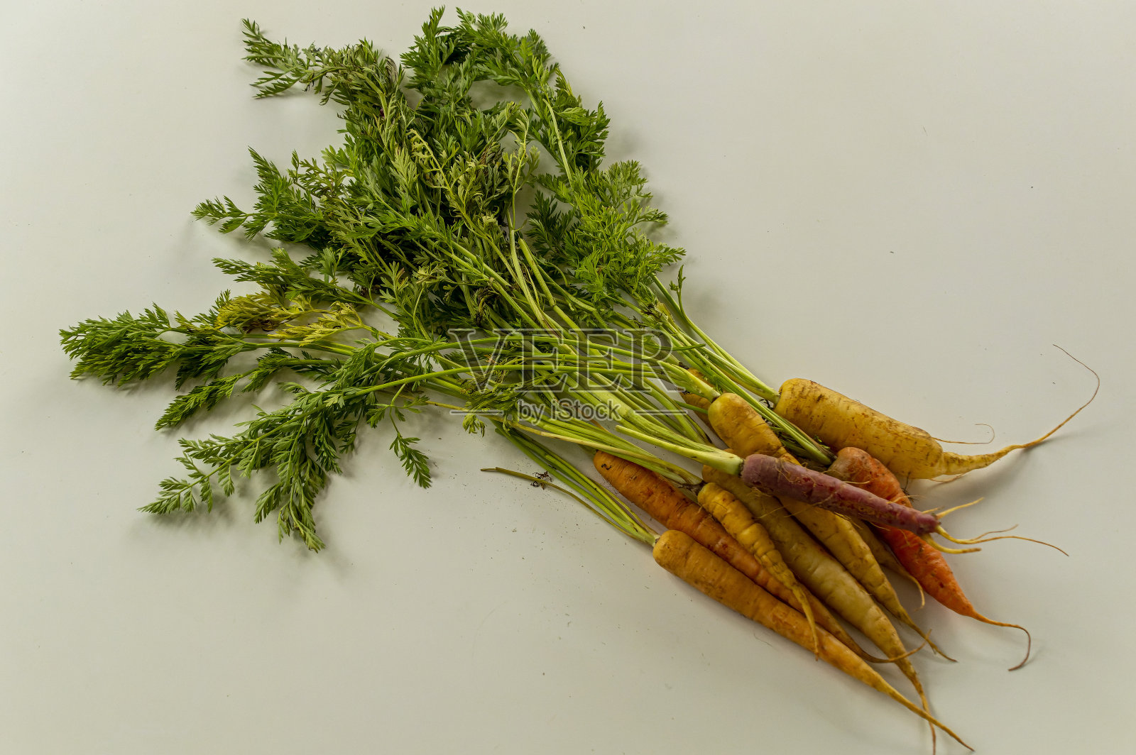 一串彩虹胡萝卜照片摄影图片