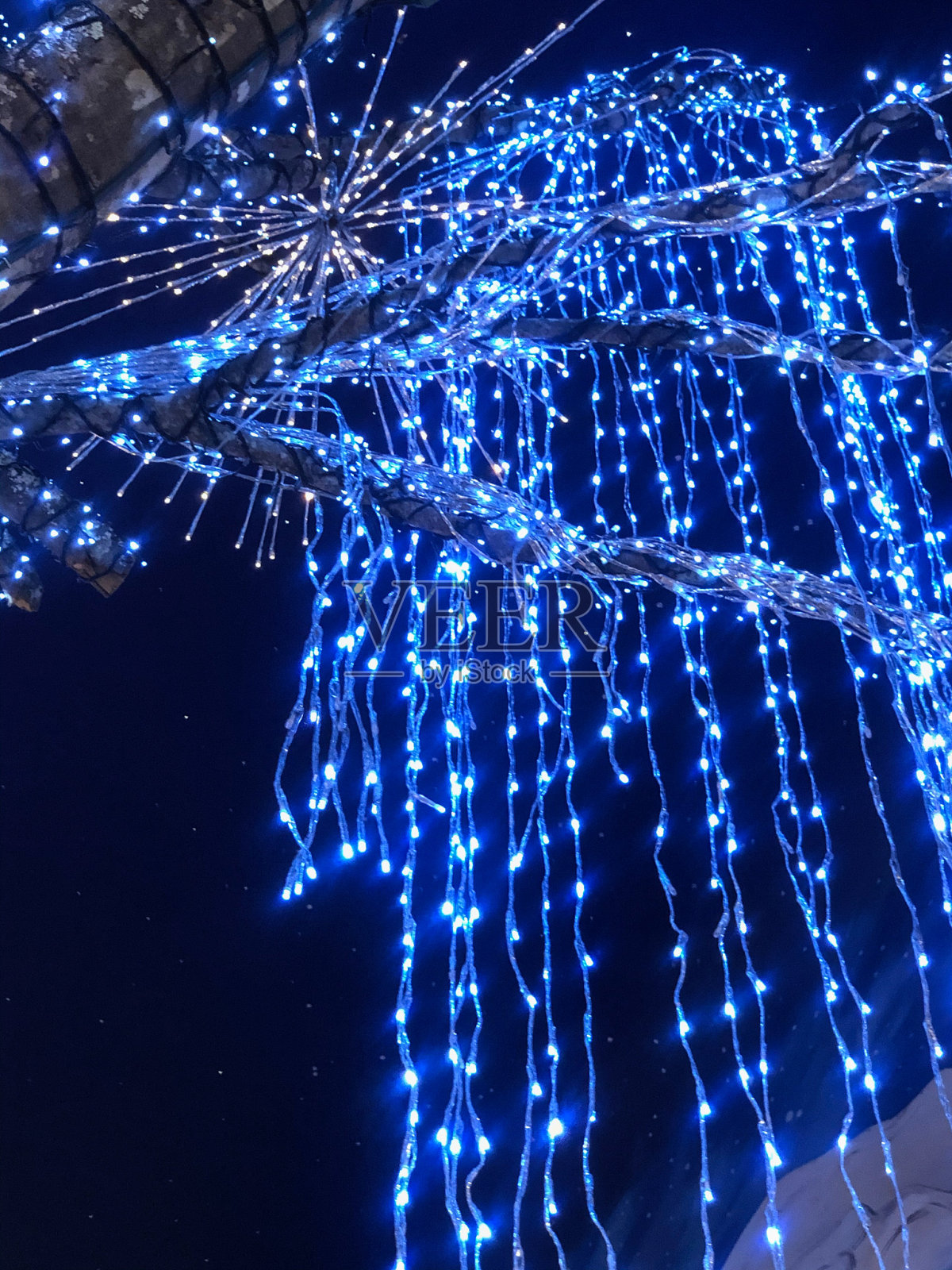 节日里挂着蓝色的冰柱灯照片摄影图片