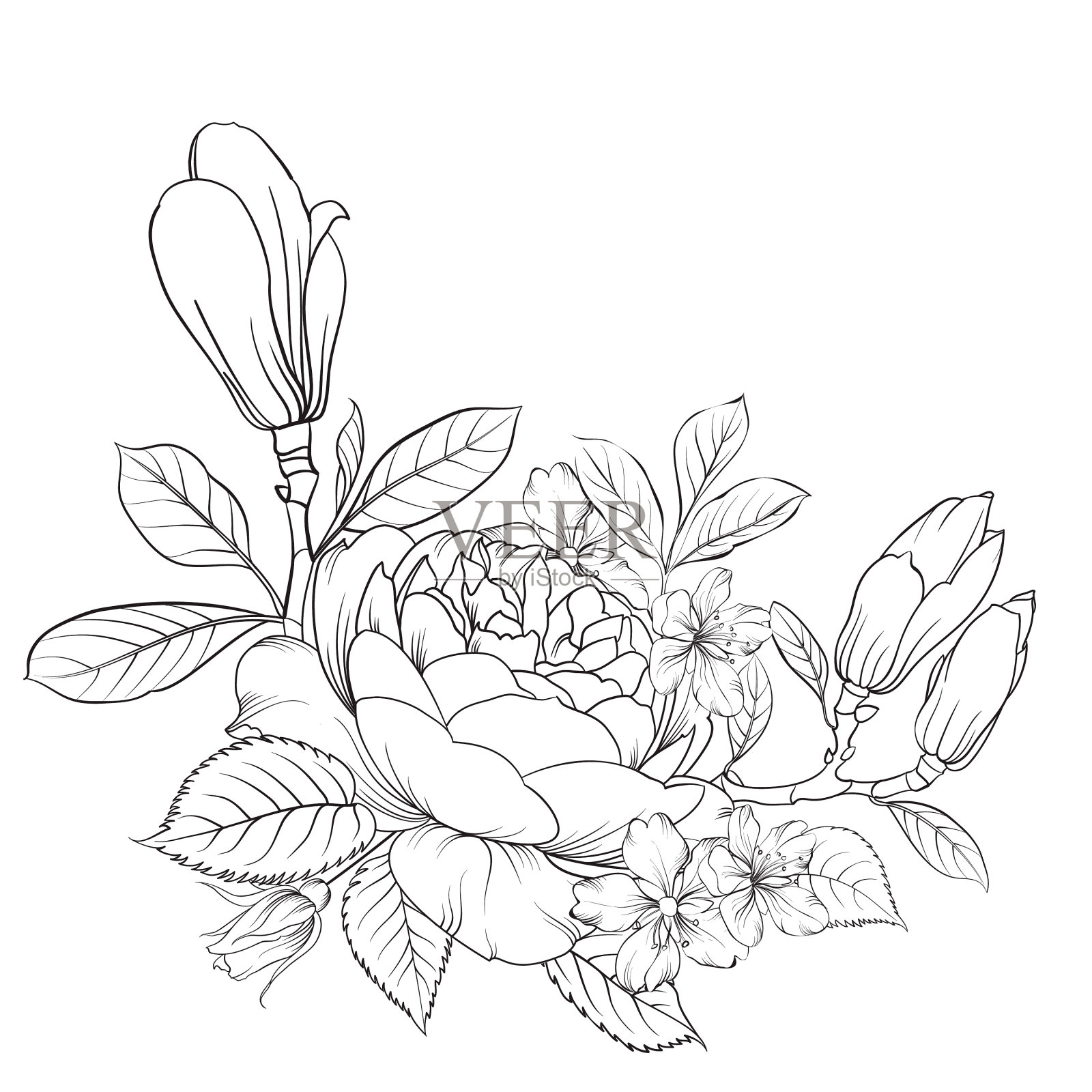 白色背景上的花束设计元素图片