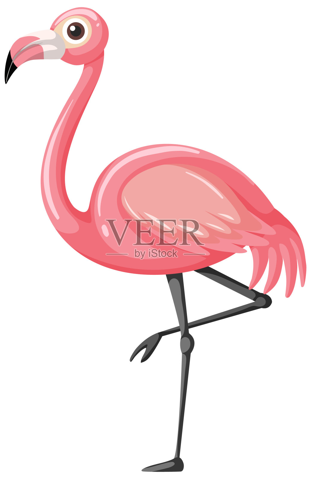 火烈鸟卡通风格孤立在白色的背景插画图片素材