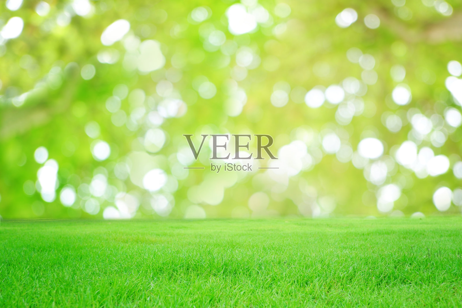 自然背景照片摄影图片