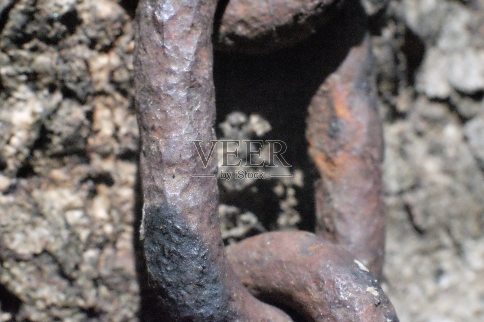 树上的链子照片摄影图片