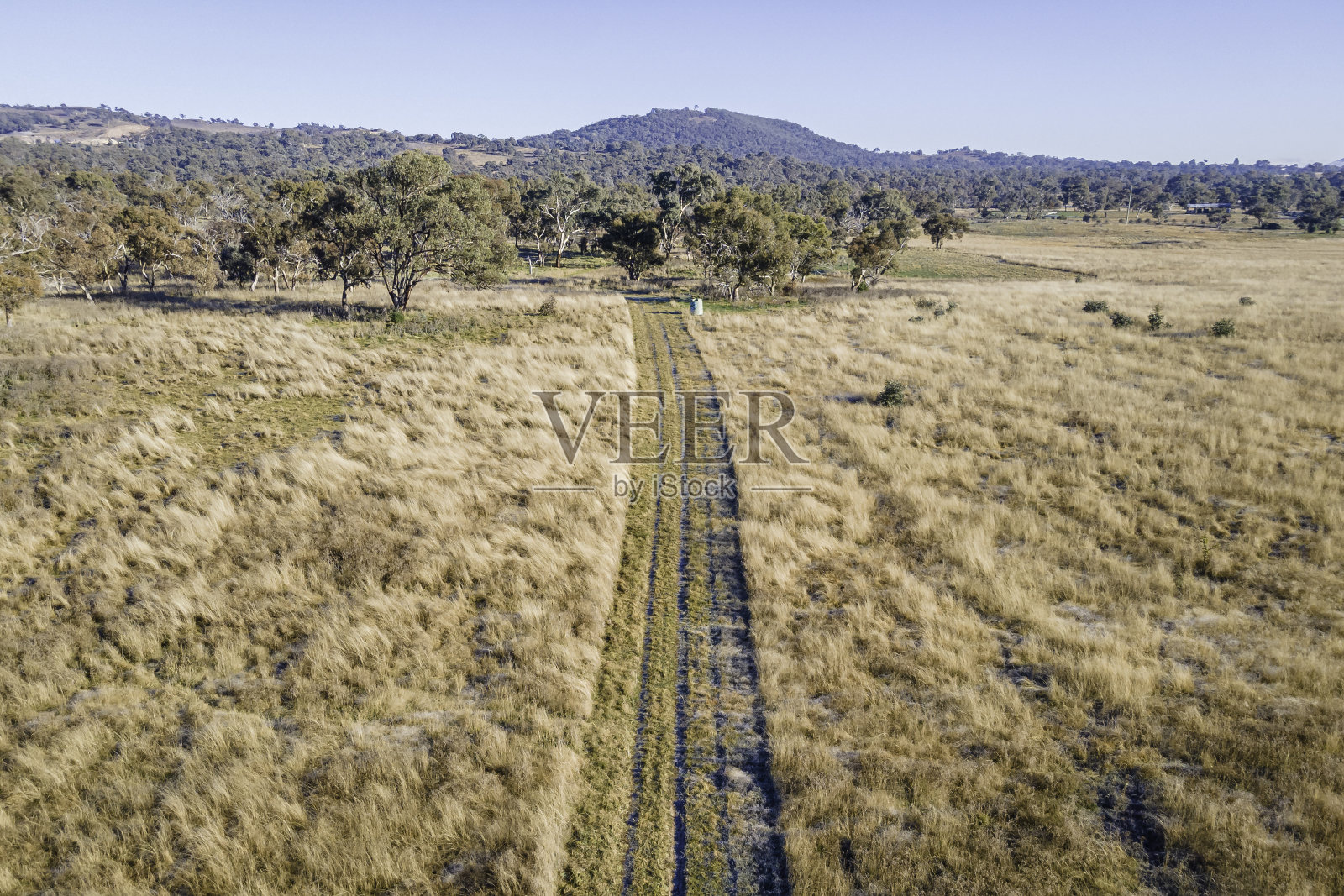 2021年5月，澳大利亚西部杰拉博贝拉自然保护区，霜冻的土路穿过草地照片摄影图片
