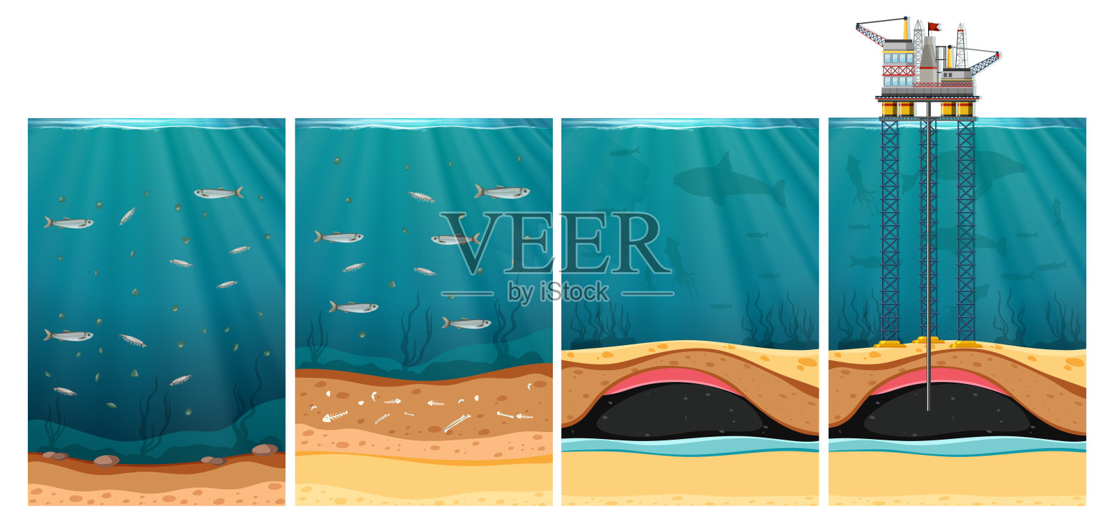 美丽的海滩插画图片素材