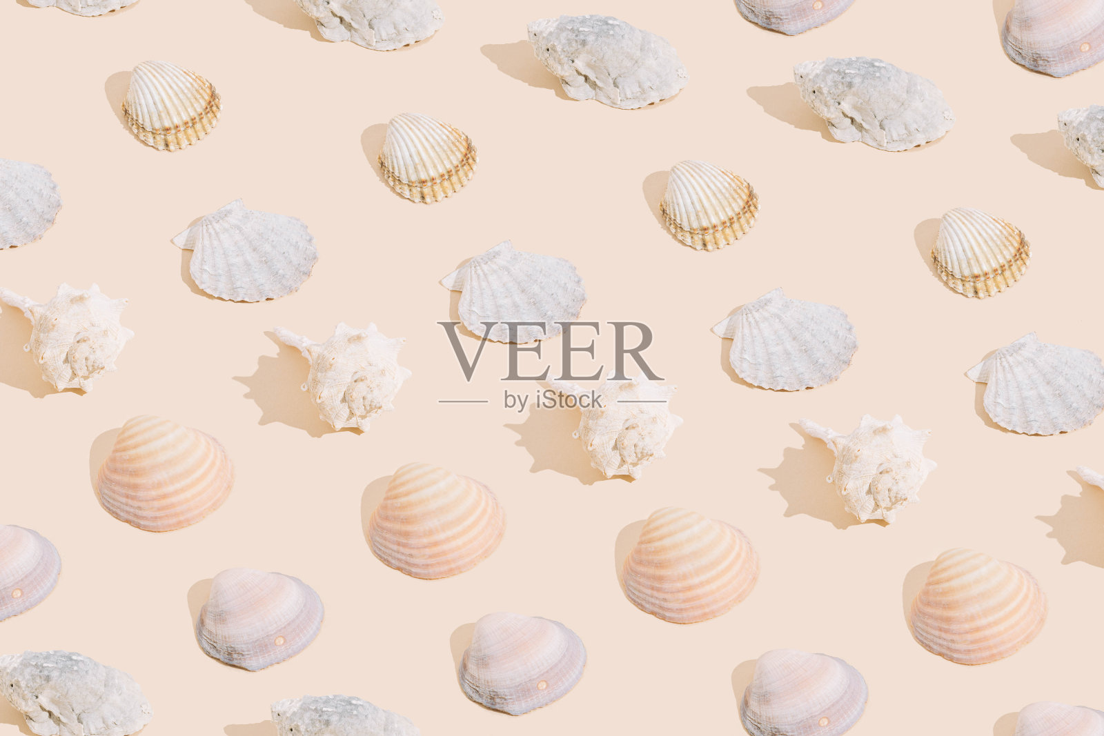 夏季用不同的贝壳图案制成，以沙色为背景。最小的夏天的概念。照片摄影图片