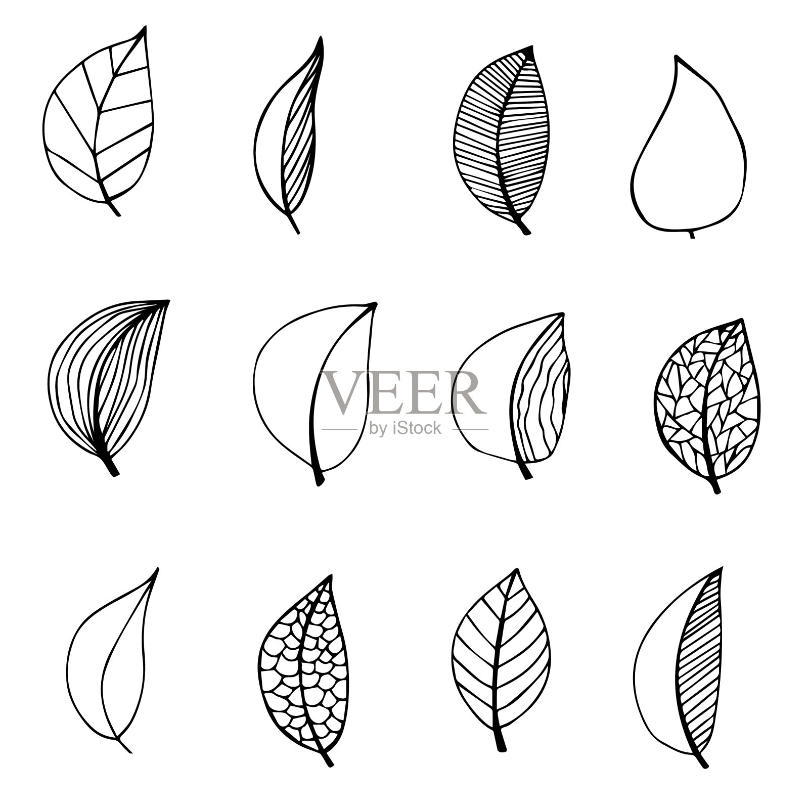 收集手绘植物涂鸦集。矢量花卉装饰手绘涂鸦集。矢量叶和分支的样本。插画图片素材