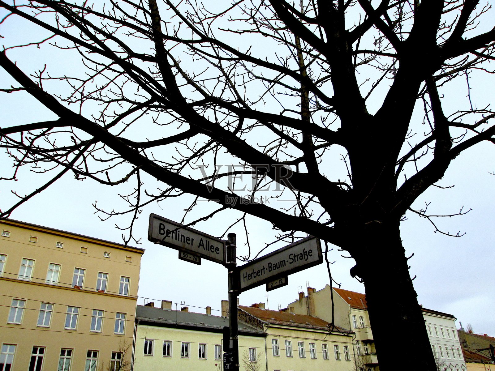 冬天阴冷的老城街道建筑立面与街道标志和光秃秃的树剪影照片摄影图片