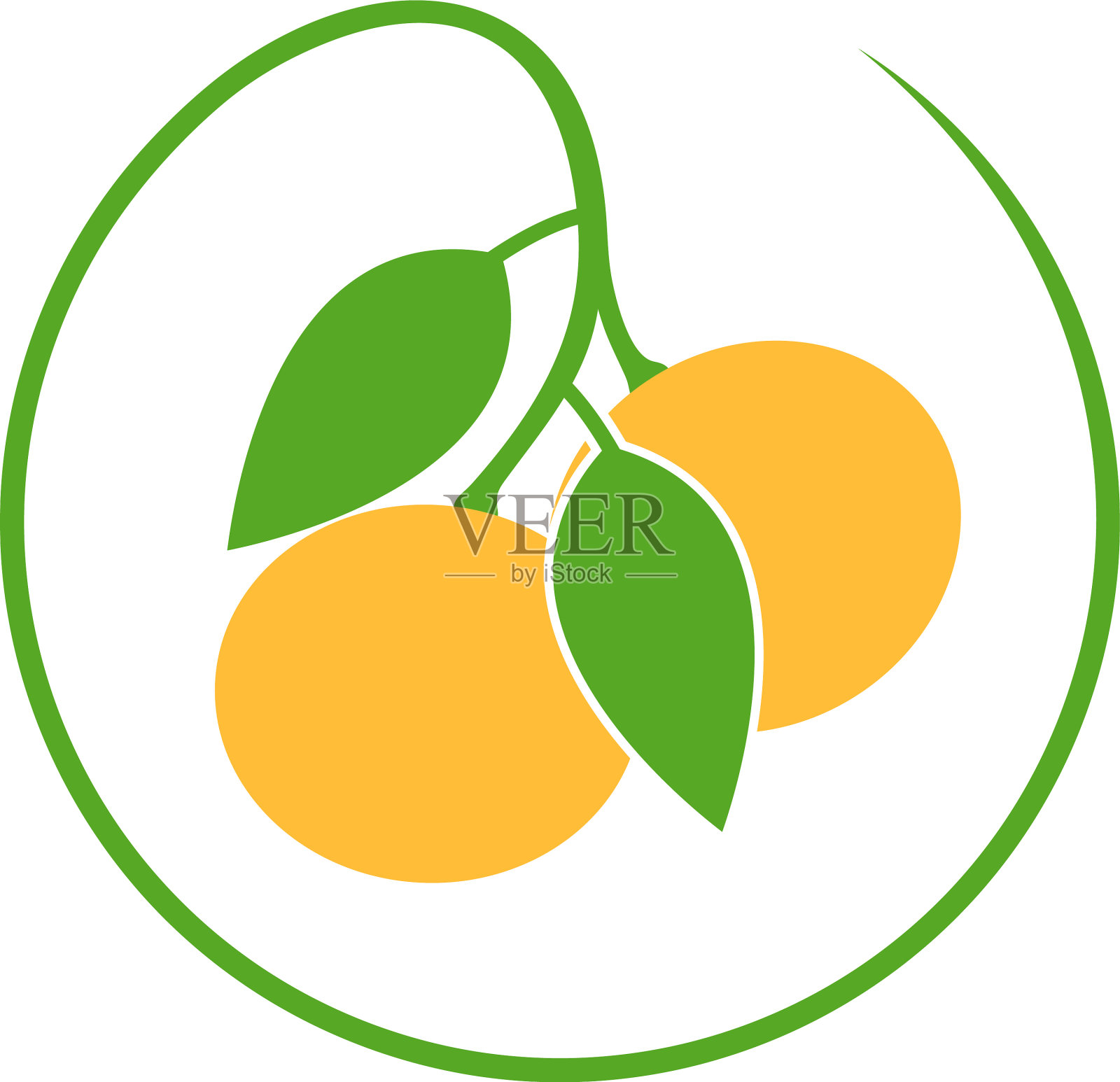 葡萄柚设计元素图片