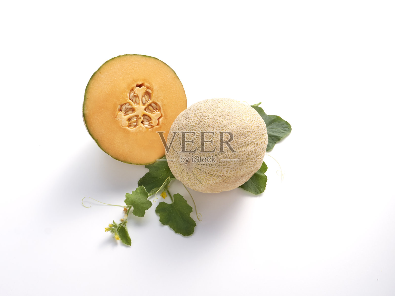 一个哈密瓜，哈密瓜的花和叶都是白的照片摄影图片