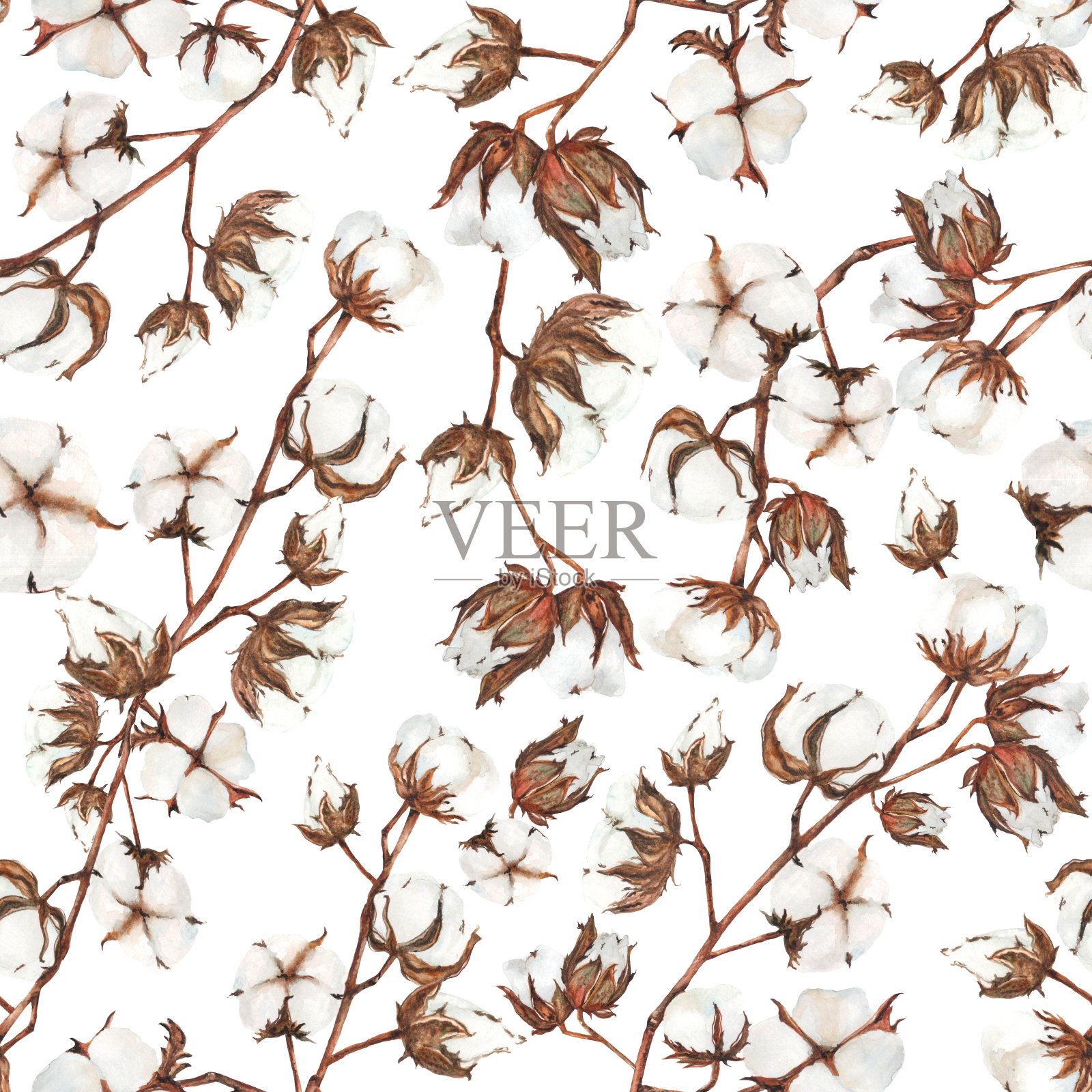 棉花无缝模式插画图片素材