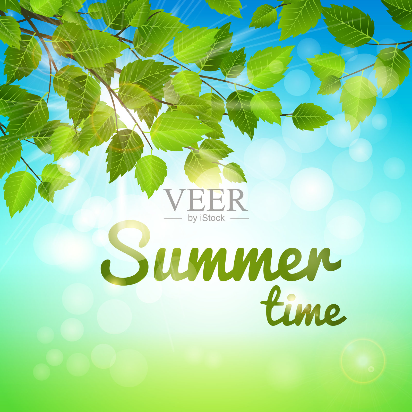 夏季背景与新鲜的绿叶插画图片素材