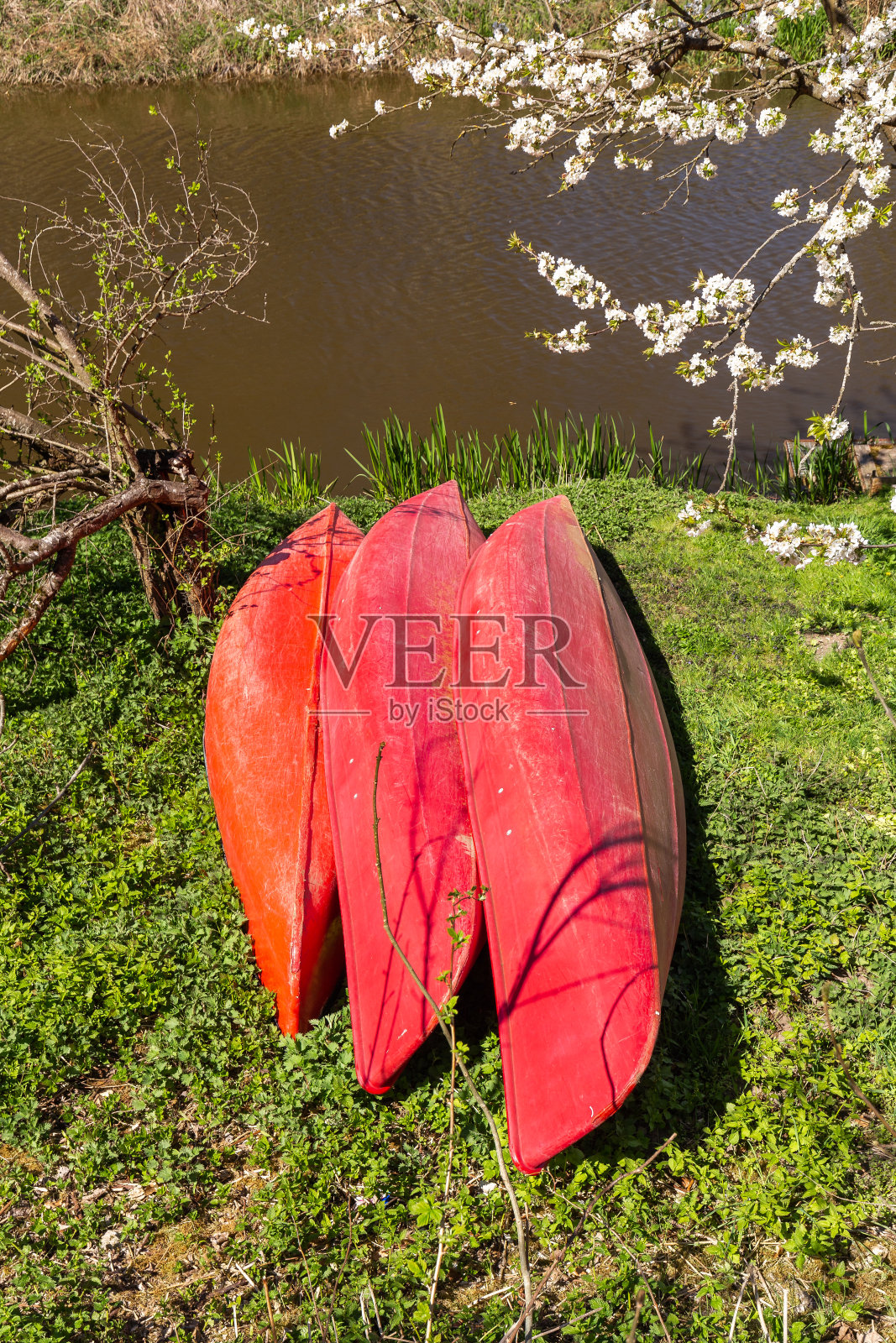 岸边有红色的独木舟照片摄影图片