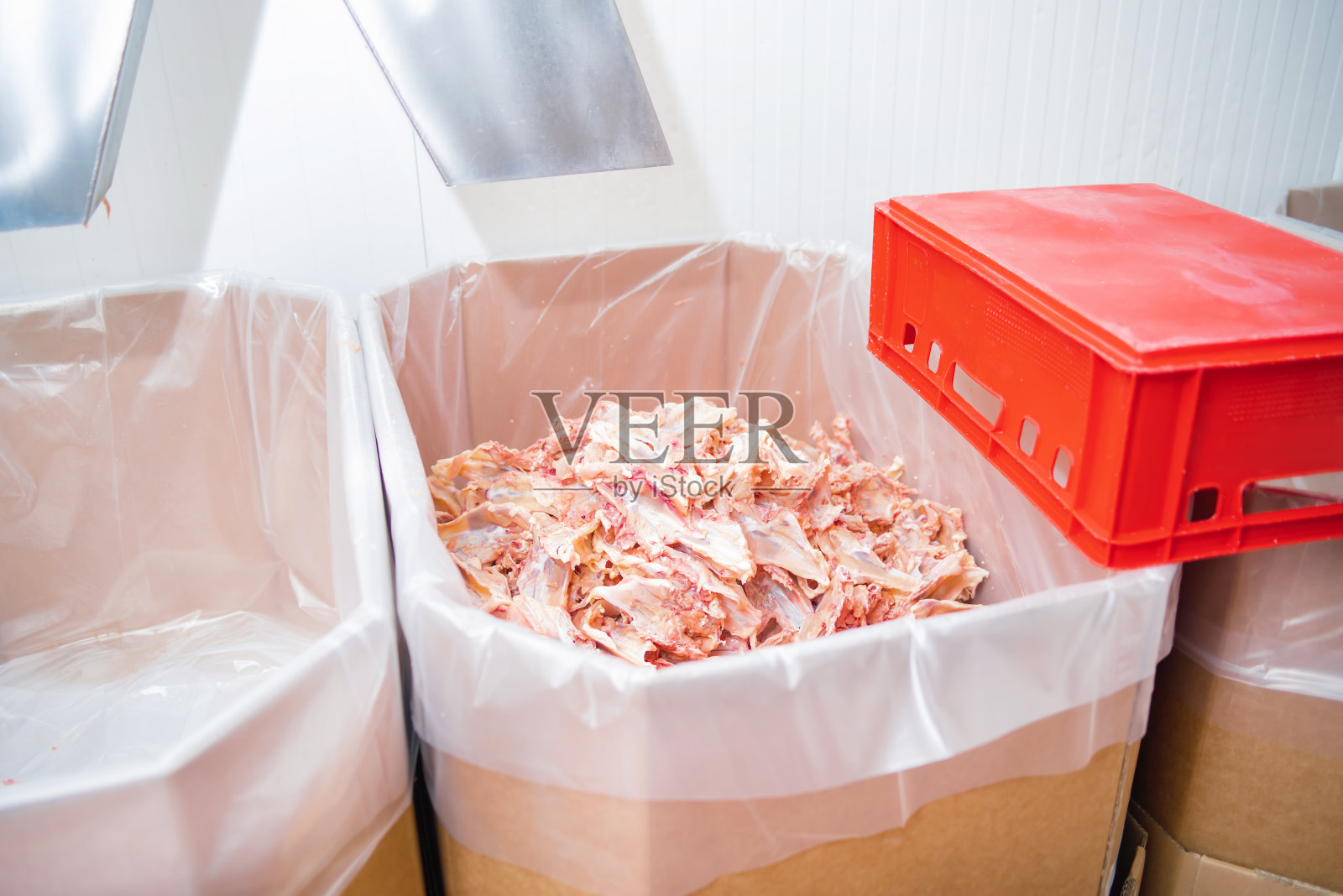 肉类加工厂。肉类生产线。鸡骨头放在一个大箱子里，是肉类加工产生的废物。用于肉类包装和切割的生产线。肉制品工厂的工业设备。照片摄影图片