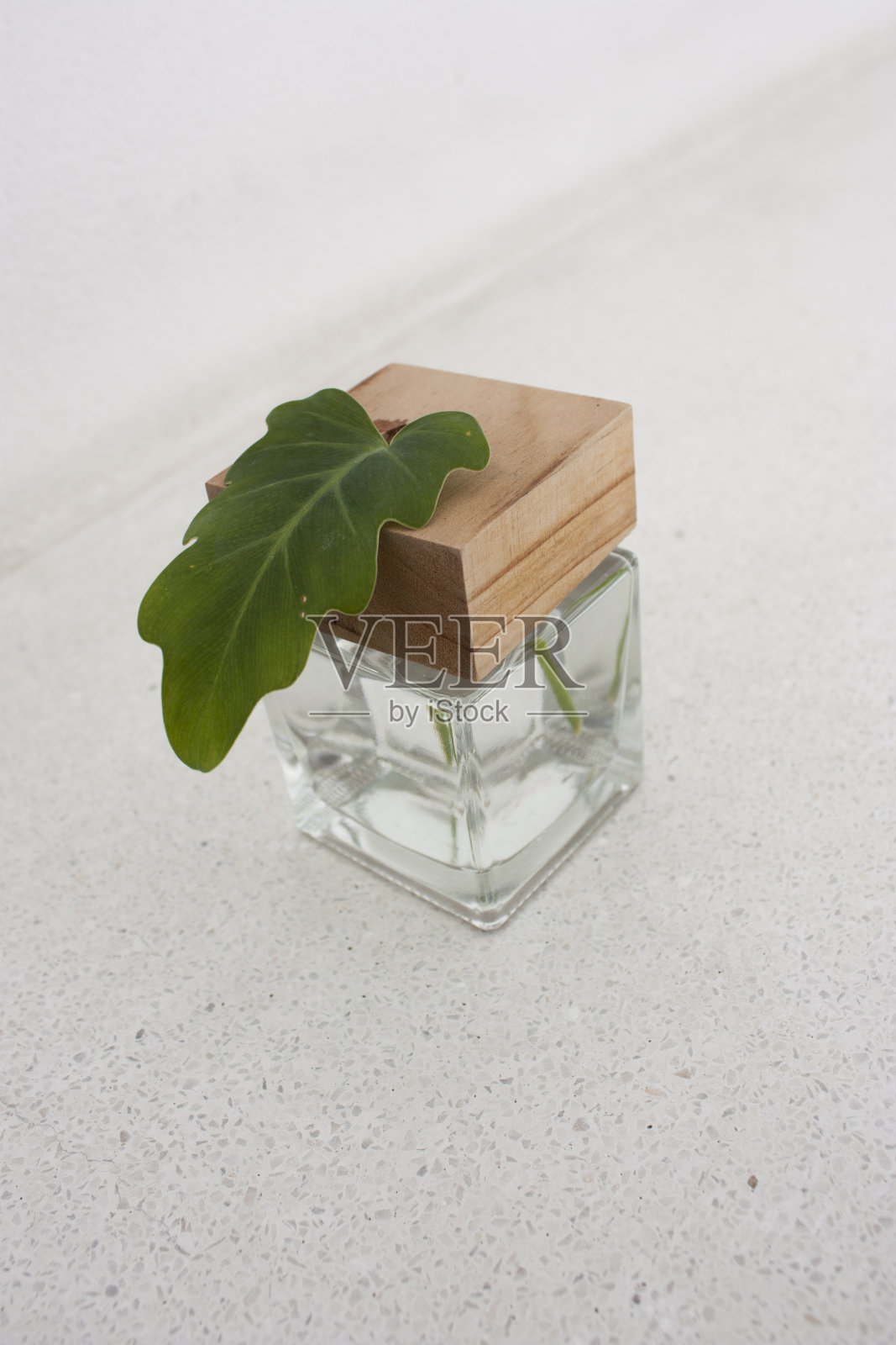 关闭的叶子在玻璃罐照片摄影图片