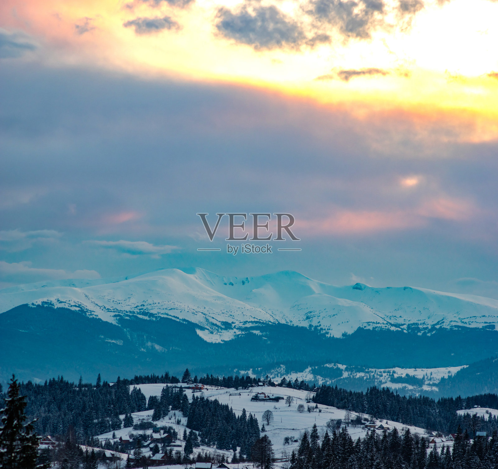 雪后的冬季森林照片摄影图片