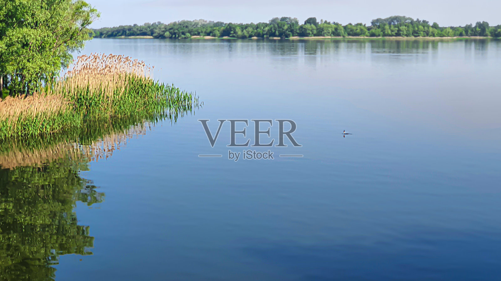 自然和河上空旷的海滩。为夏季做准备。水中树木的倒影。照片摄影图片