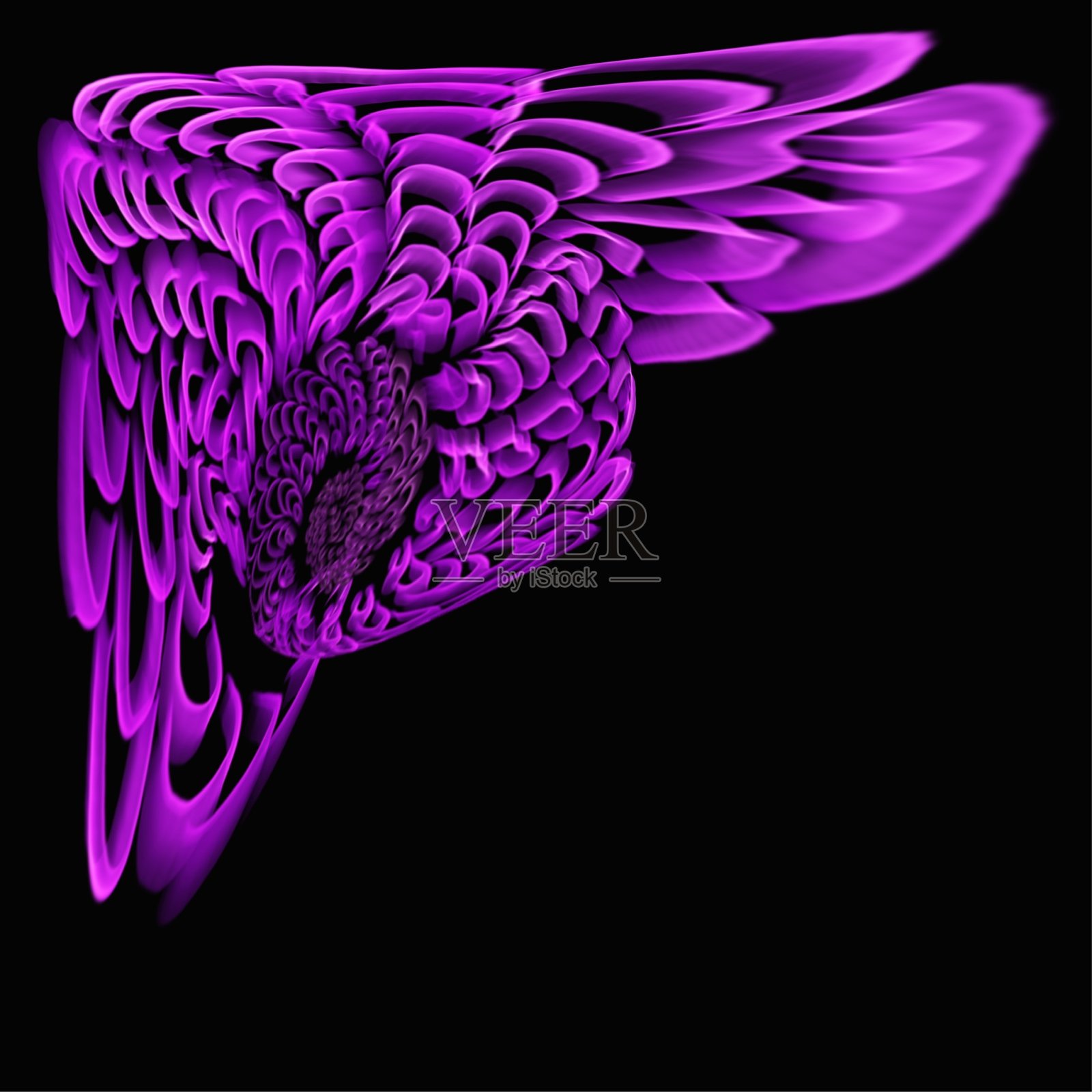 黑色背景上的霓虹插图照片摄影图片