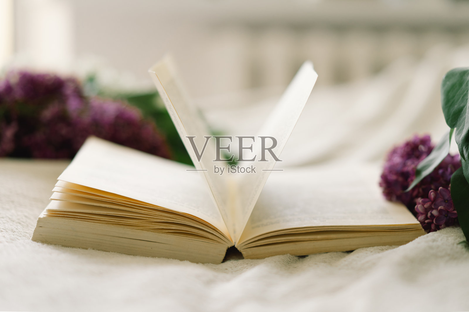 丁香和打开的书。阅读和休息。客厅家居室内的静物细节照片摄影图片