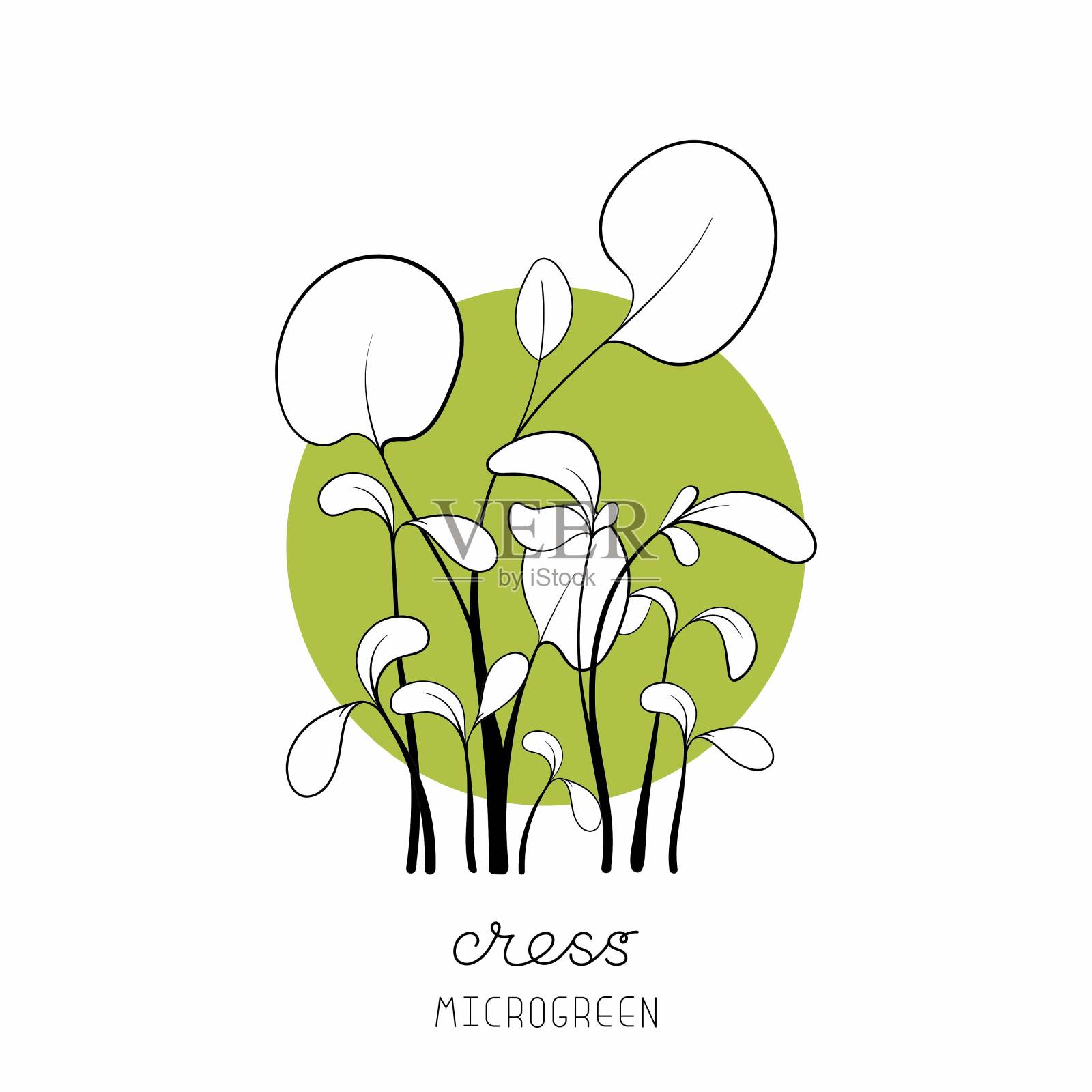 微绿色草图矢量插图。绿色家居园艺。插画图片素材