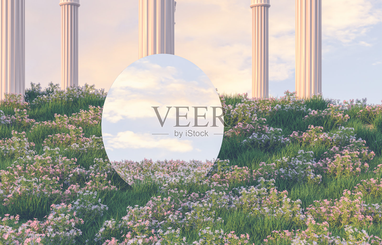 春花田景象与镜面反射。照片摄影图片