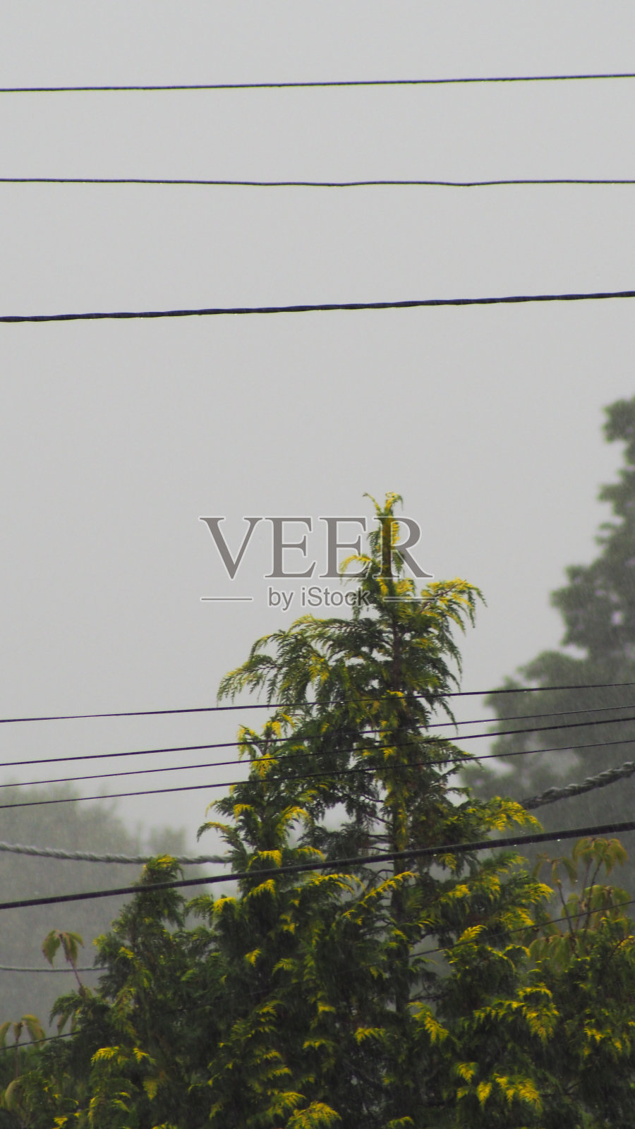 潮湿及雨天照片摄影图片