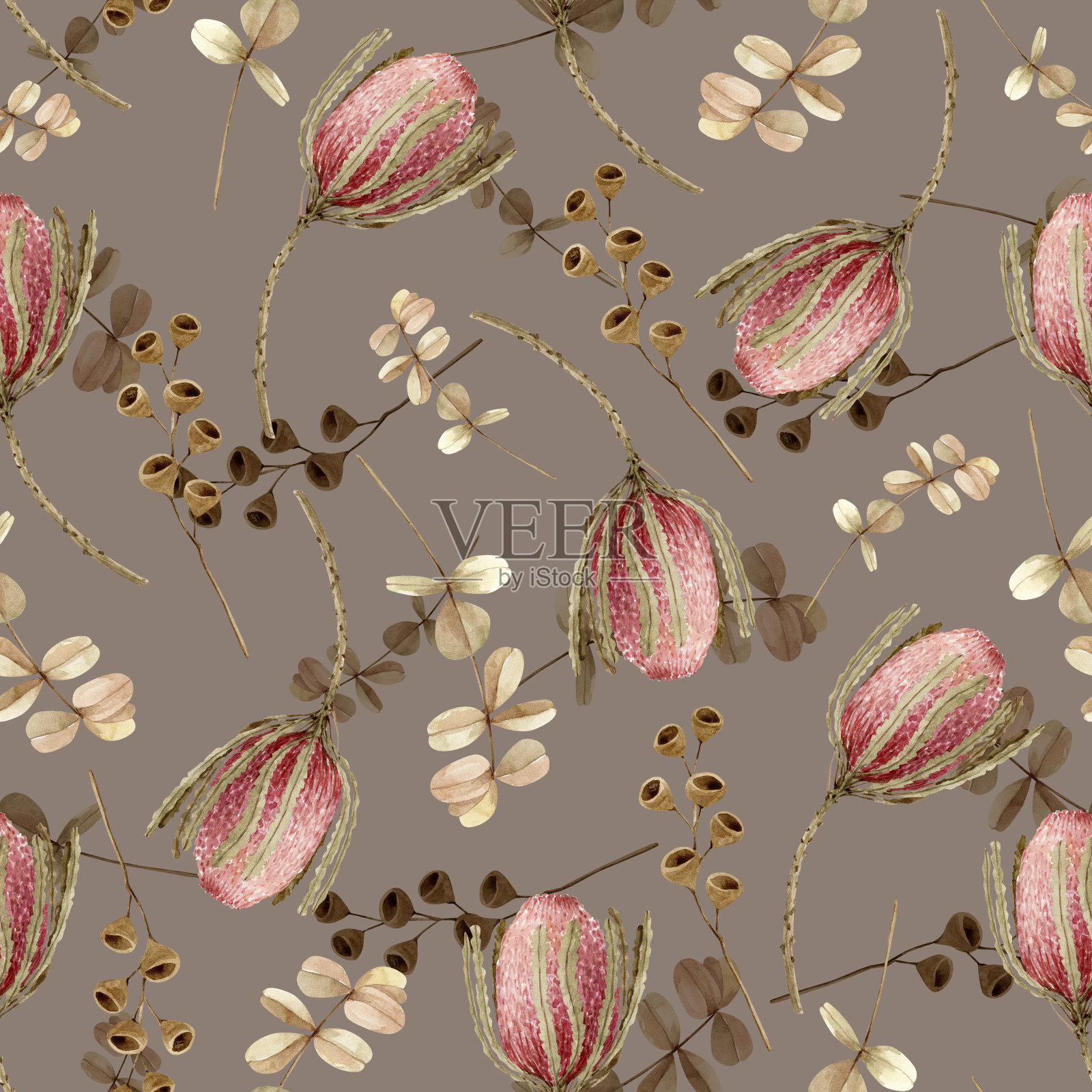 无缝图案与protea花和干花，树枝在棕色的背景，水彩插图在波西米亚风格手绘插画图片素材