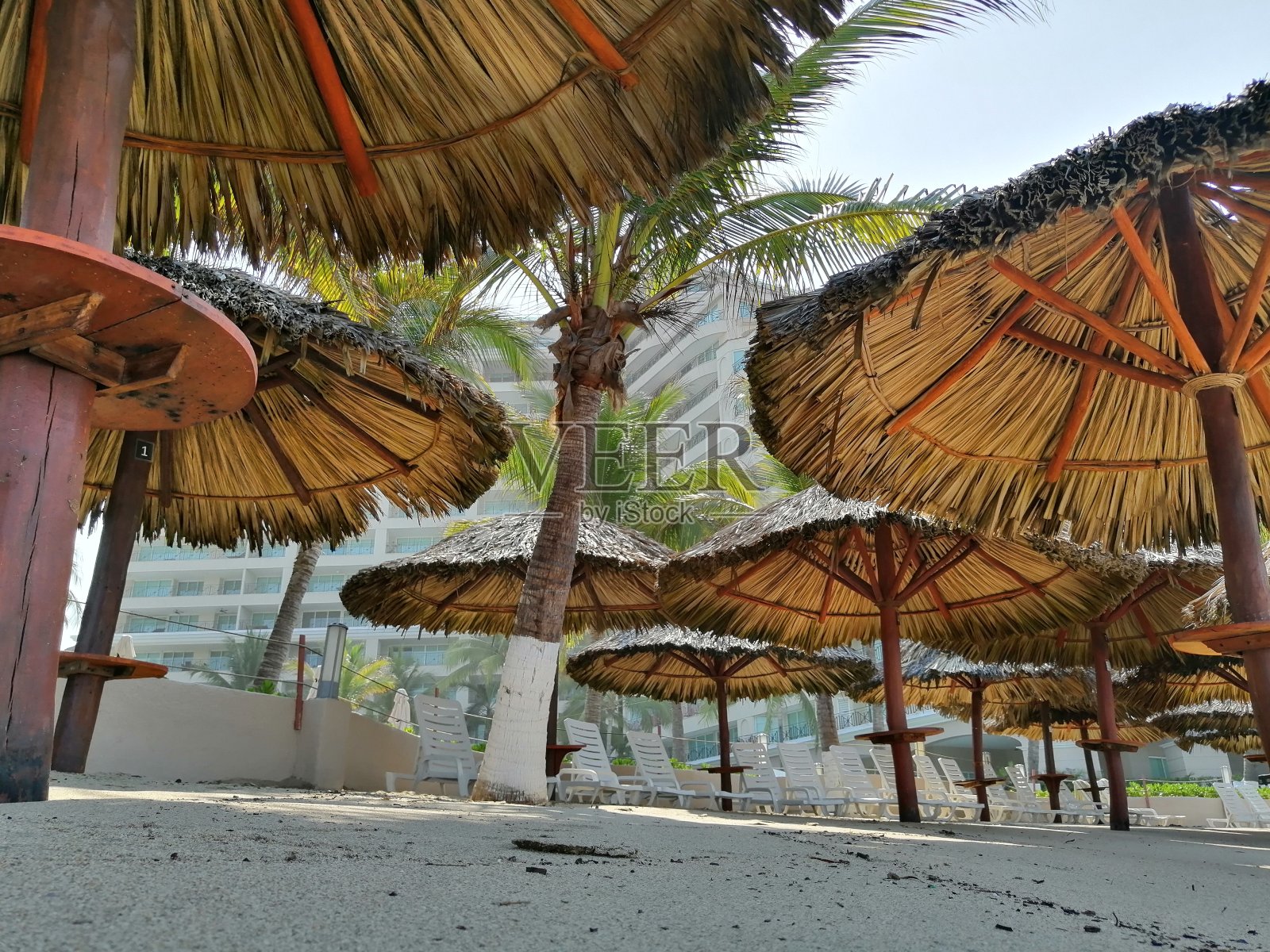 竞技场照片摄影图片