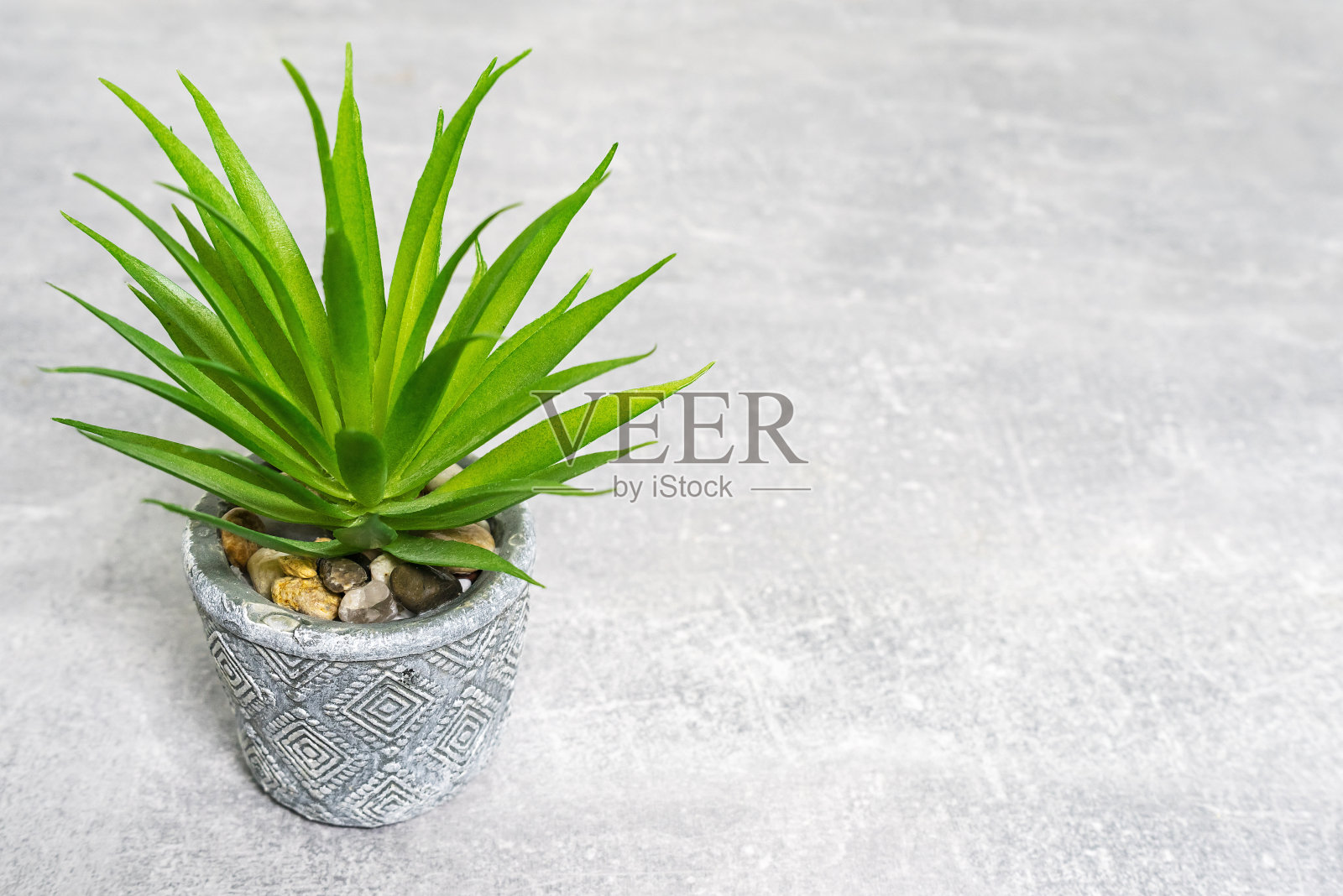 夏天的背景，绿色的植物在灰色的石头桌上。照片摄影图片