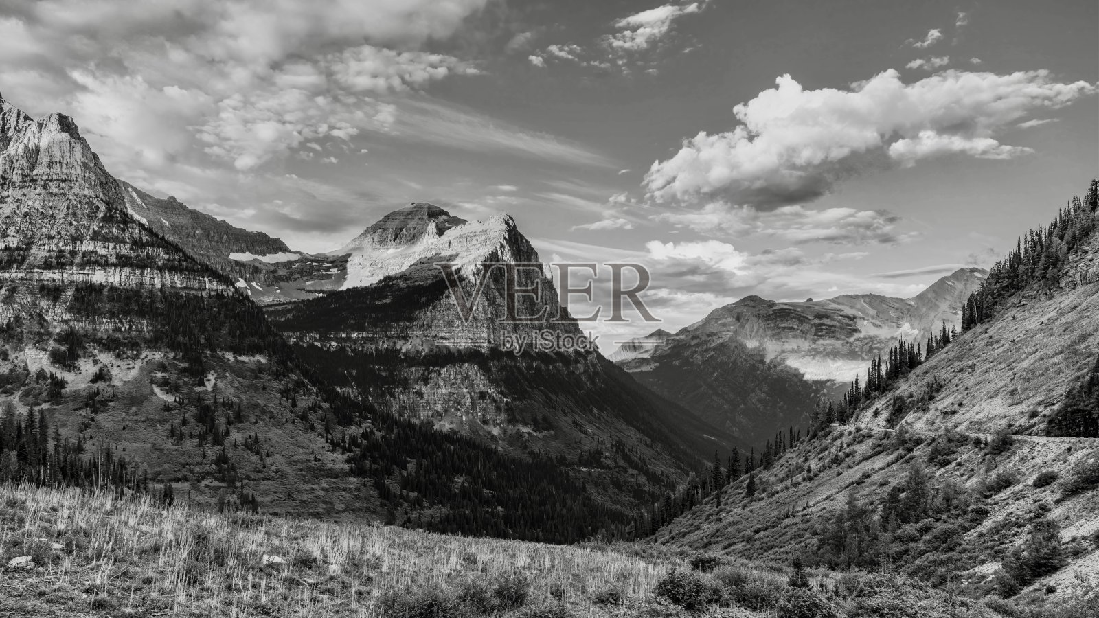 美国蒙大拿州冰川国家公园大本德的天堂草地照片摄影图片
