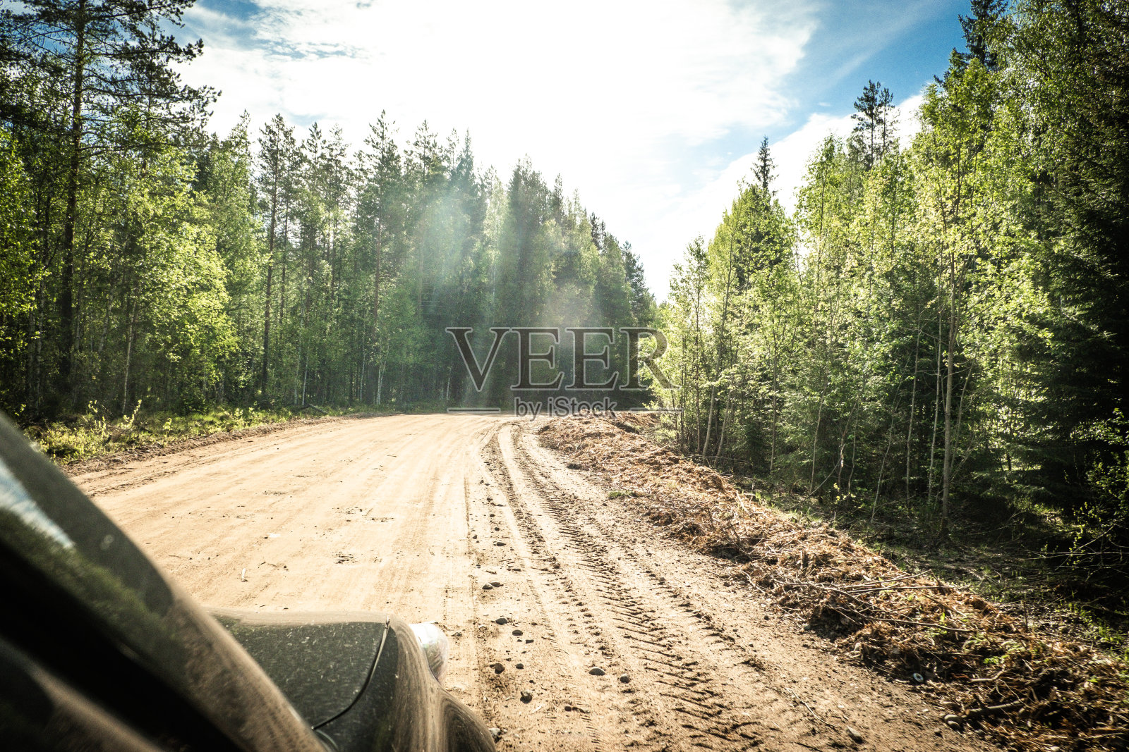 卡累利阿针叶林之间的路照片摄影图片