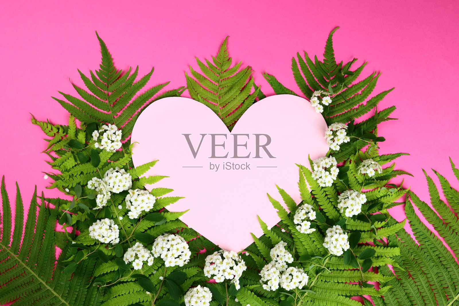 空旷的空间心在绿叶的背景上。热带爱夏季模型。照片摄影图片