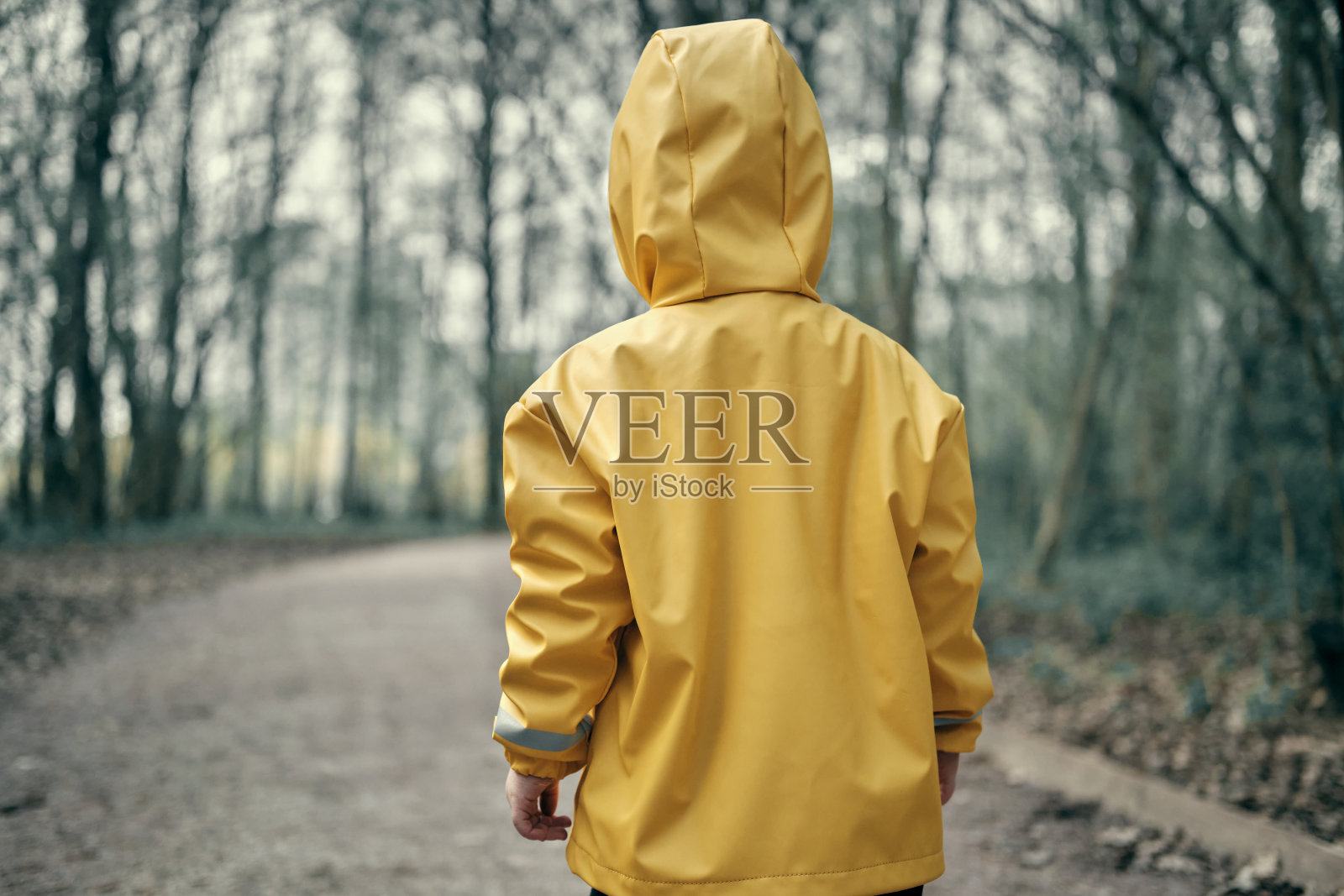 一个穿着黄色雨衣戴着兜帽的小孩正在黑暗可怕的森林里行走照片摄影图片