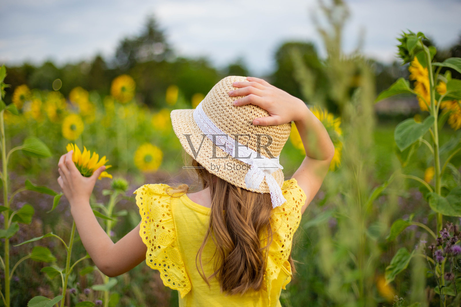 快乐的孩子在大自然中照片摄影图片