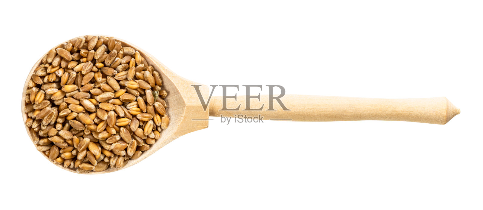 俯视图木勺与普通小麦谷物照片摄影图片
