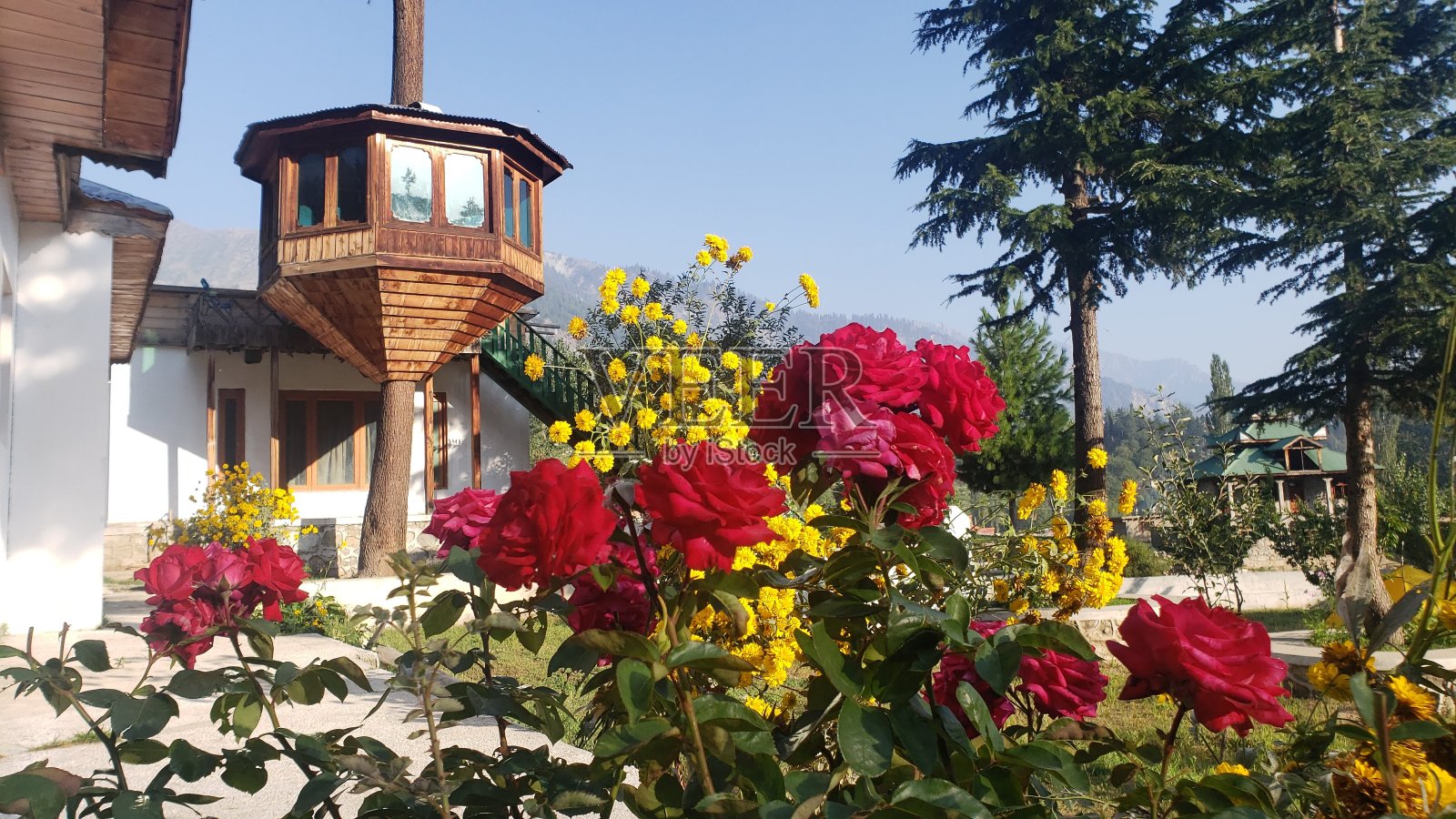 花和树房子照片摄影图片