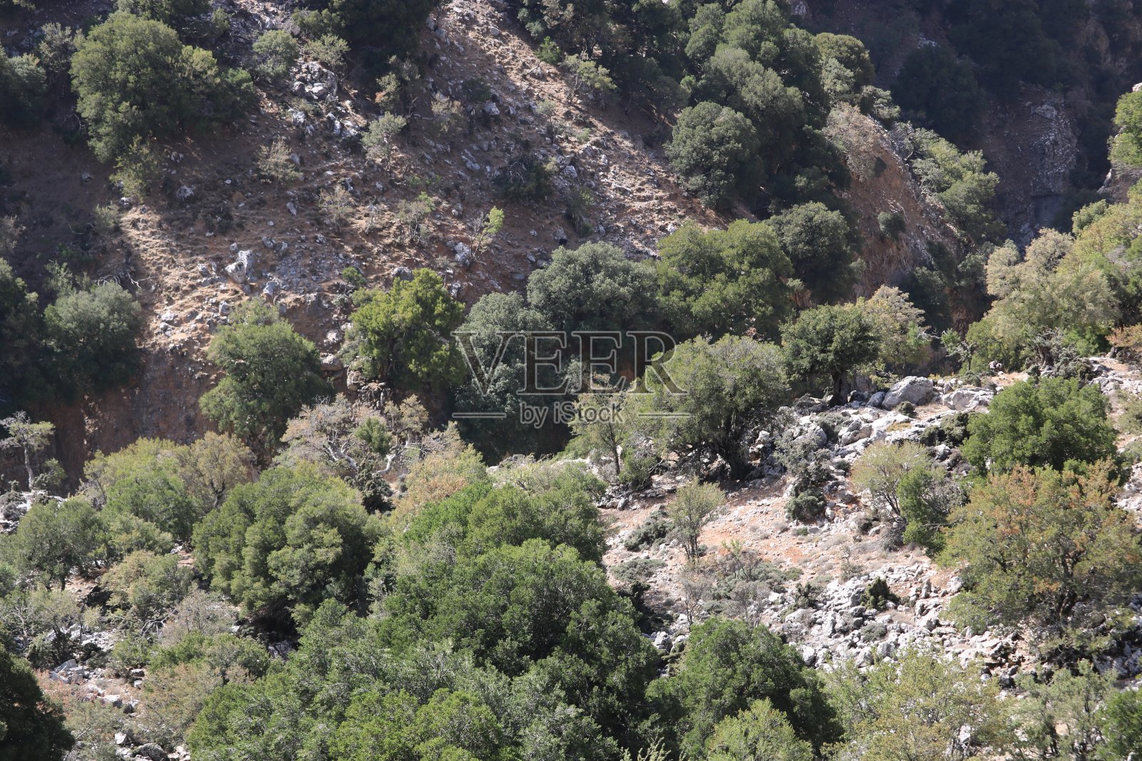 克里特岛4x4巡回赛照片摄影图片