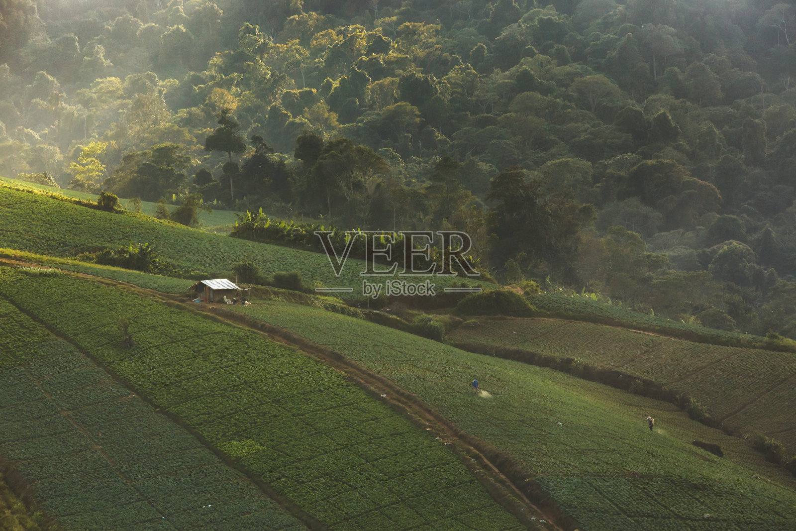 泰国碧差汶的福塔柏克，早上在山顶上看到的弯道。照片摄影图片