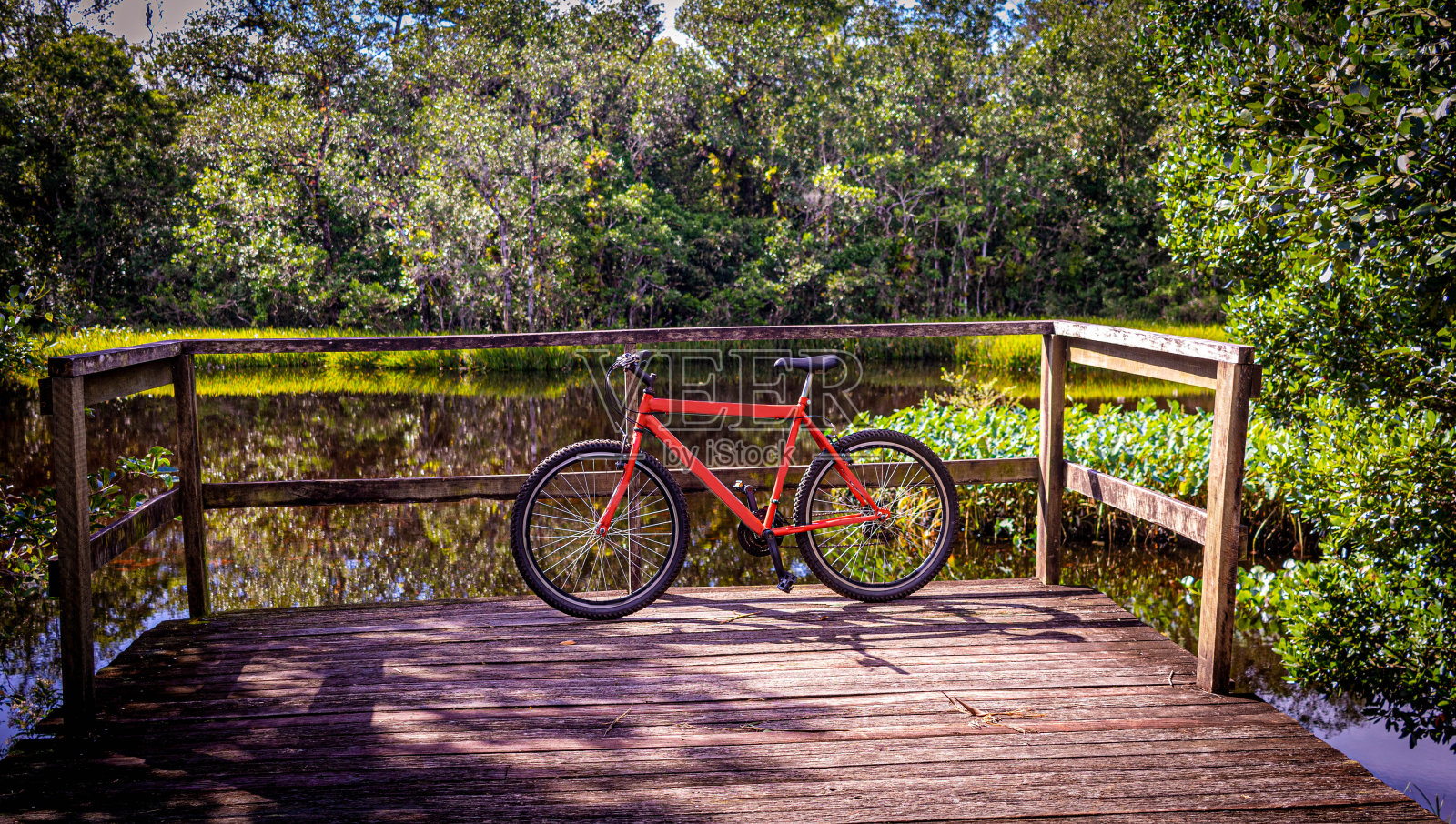 红自行车山地车停在码头，湖和树为背景照片摄影图片