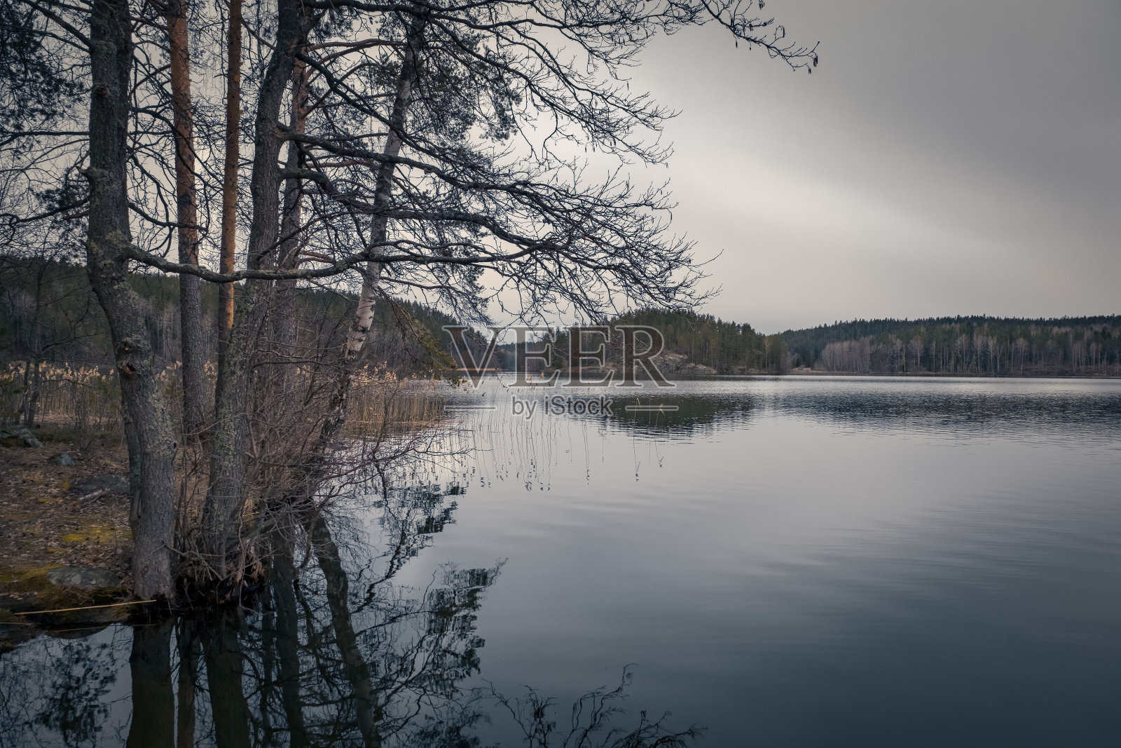 多云的夜晚照片摄影图片