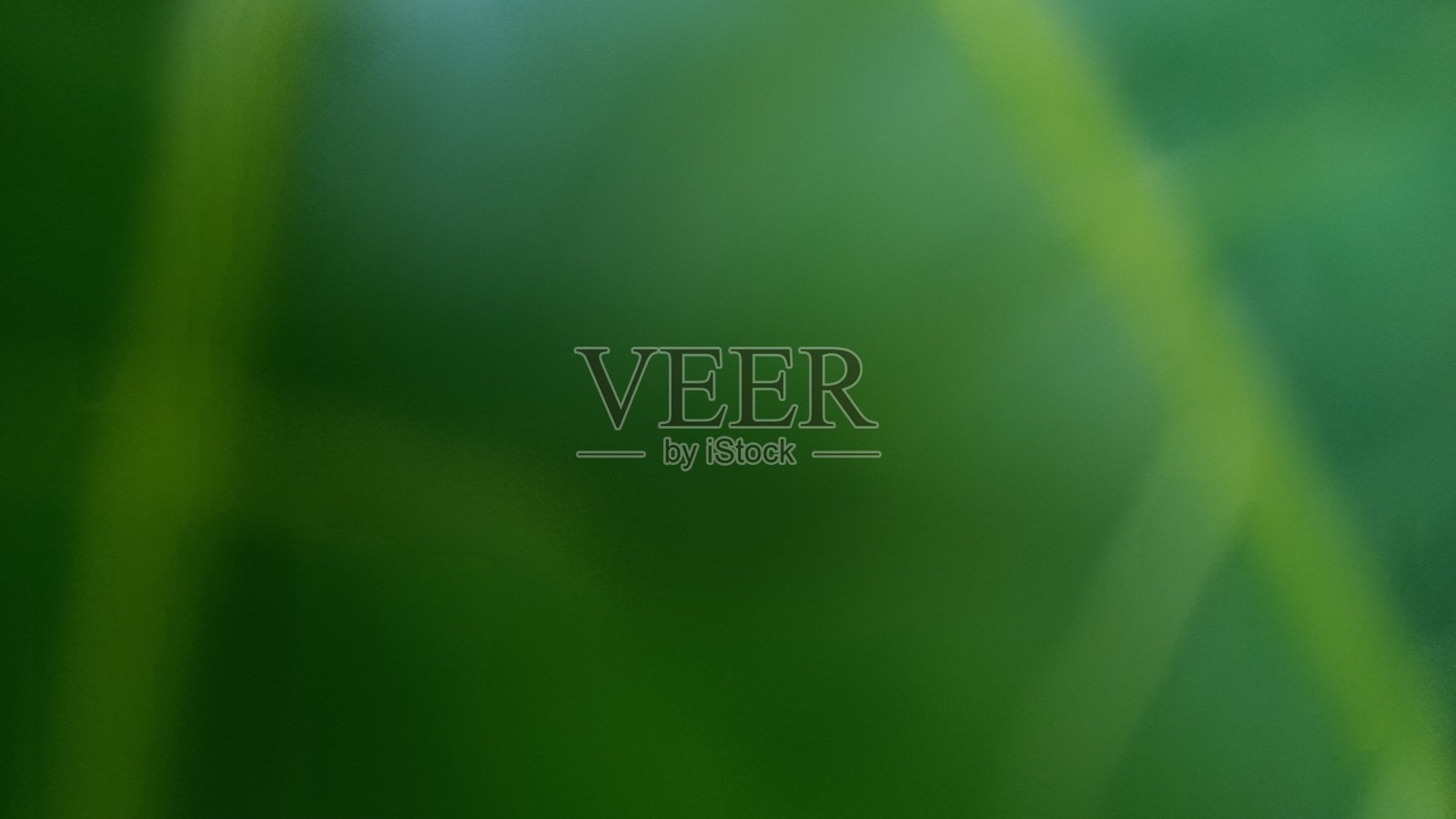 散焦的绿叶背景在花园时下午照片摄影图片