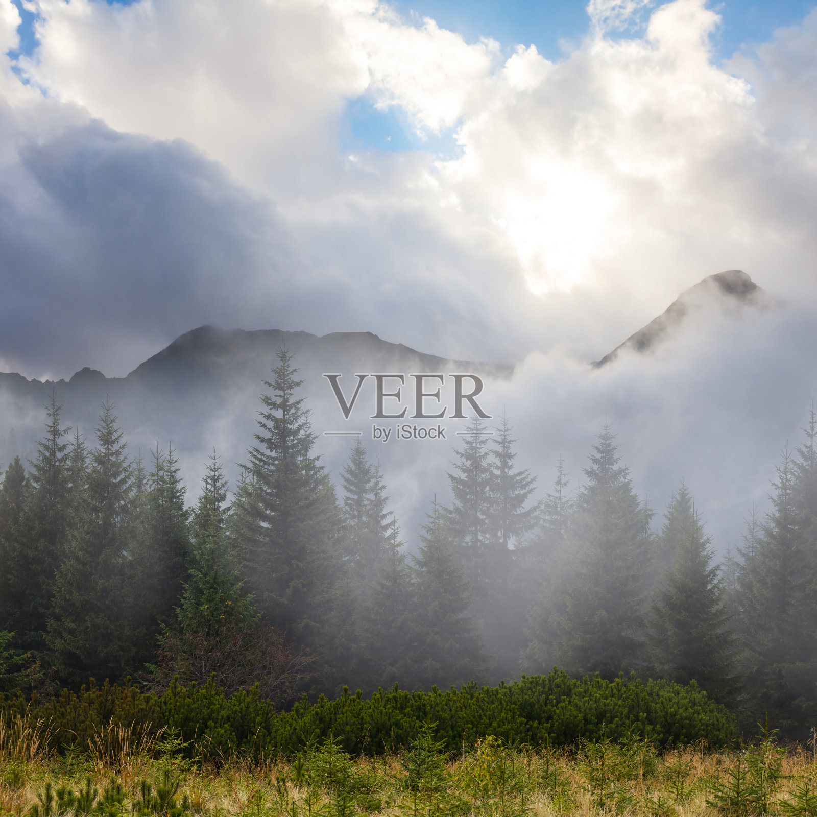 在阳光明媚的日子里，绿雾密布的山谷照片摄影图片