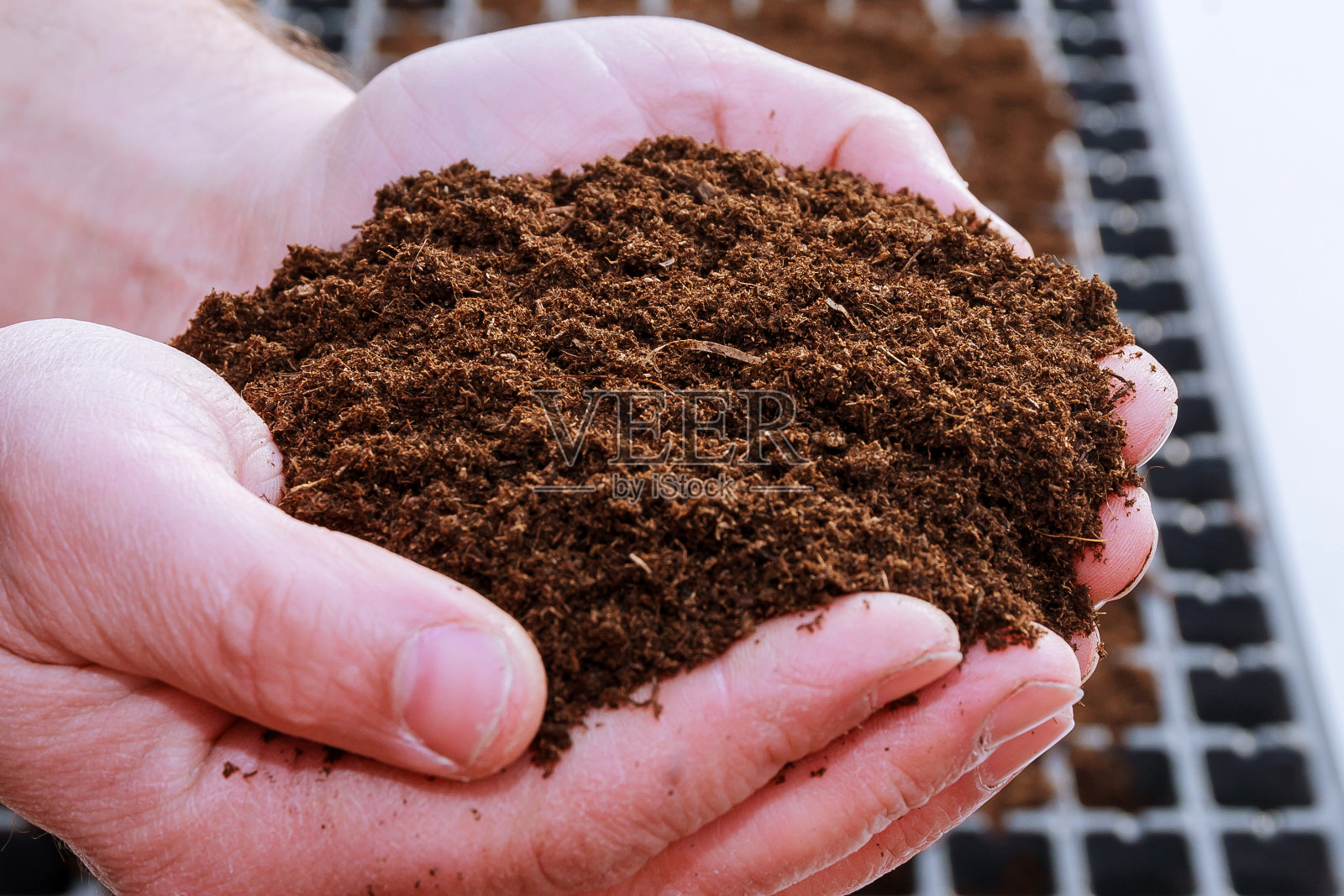 农夫手中有一小撮肥沃的土地。播种种子。幼苗生长。照片摄影图片