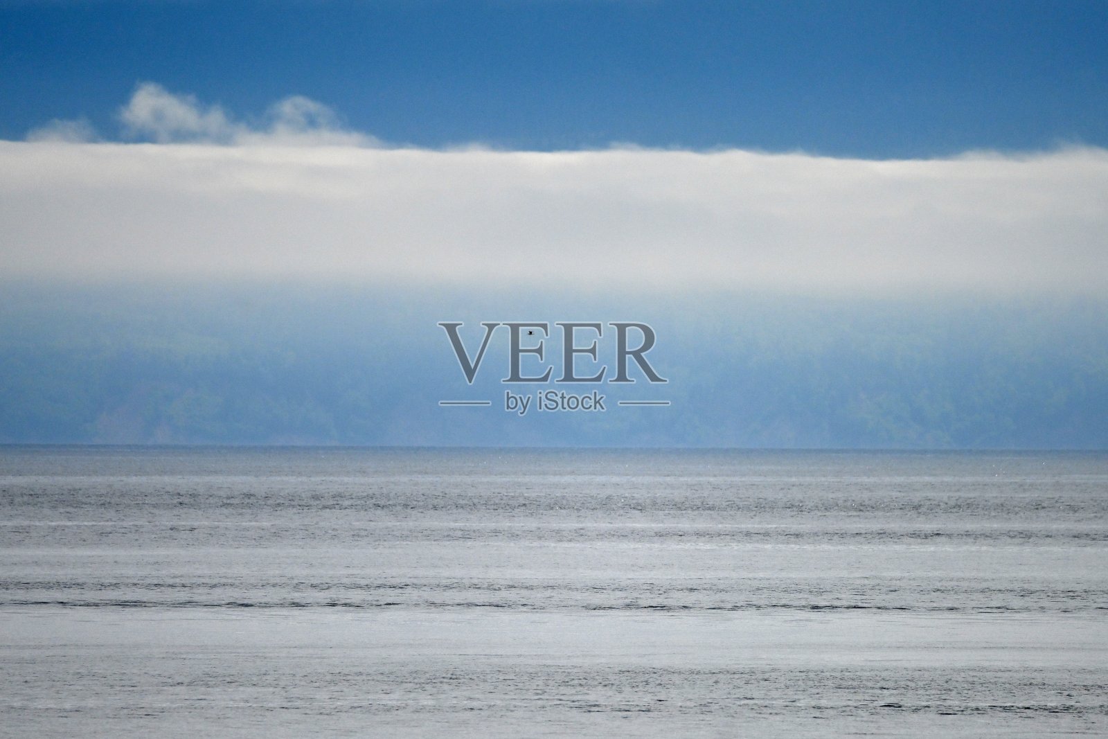 灯塔照片摄影图片