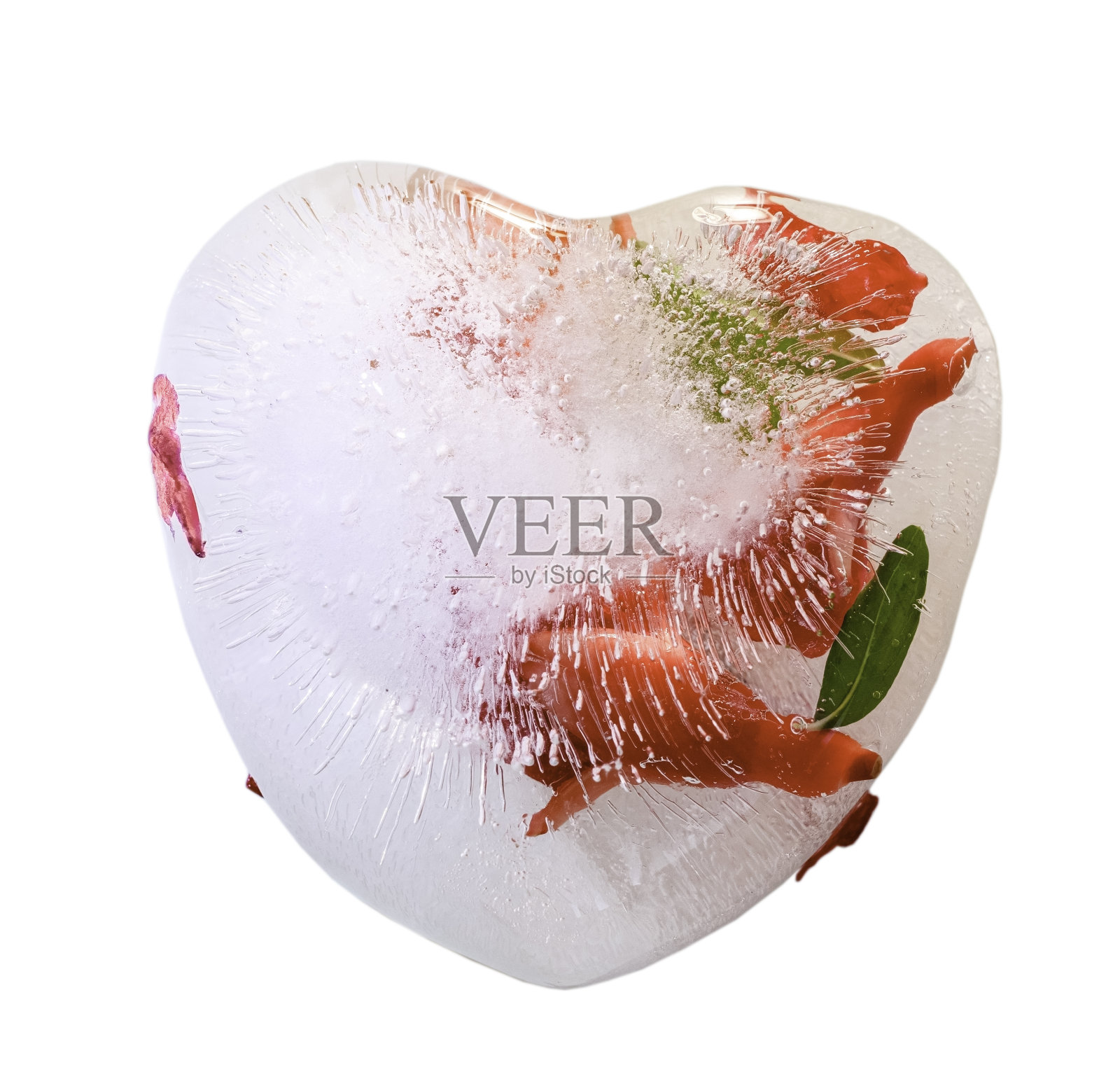 冰心里面的花被孤立在白色的背景上。照片摄影图片