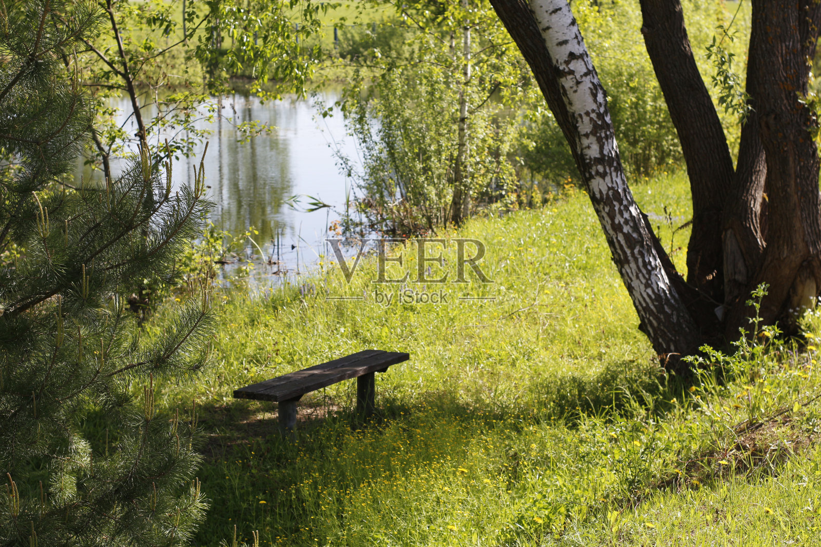 美丽的大自然。一张没有人的木凳。照片摄影图片