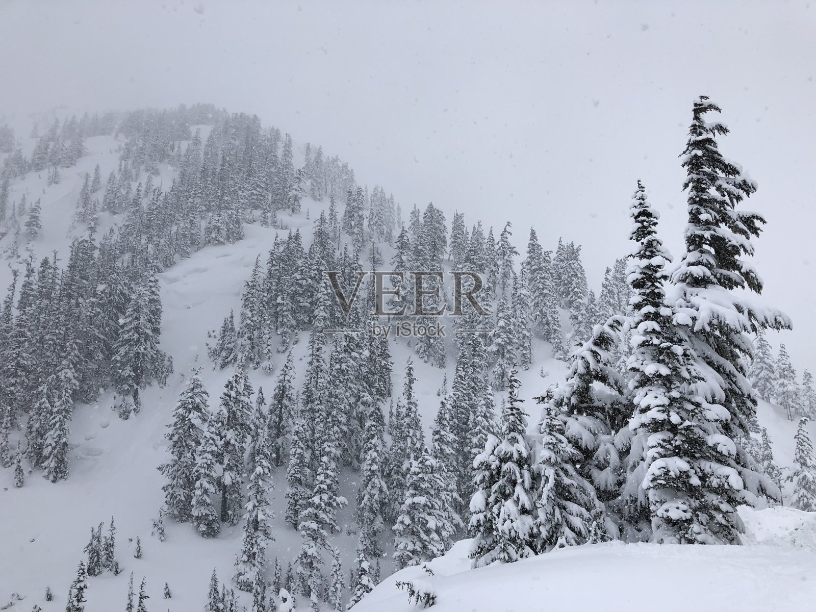 山上下雪了照片摄影图片