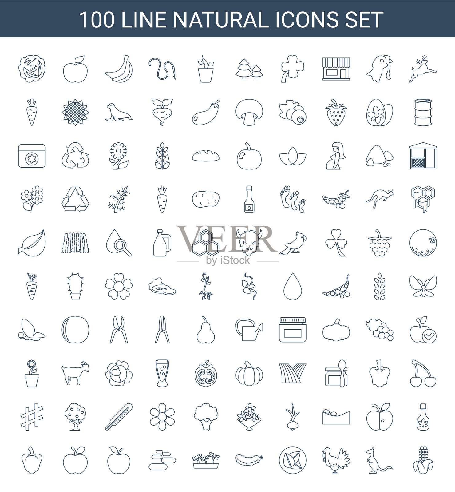 100年自然的图标图标素材