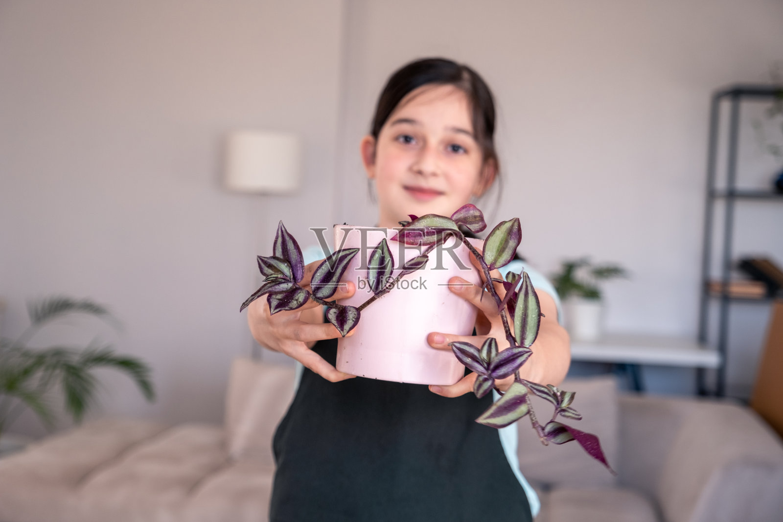 一个十几岁的女孩正在花盆里种花照片摄影图片