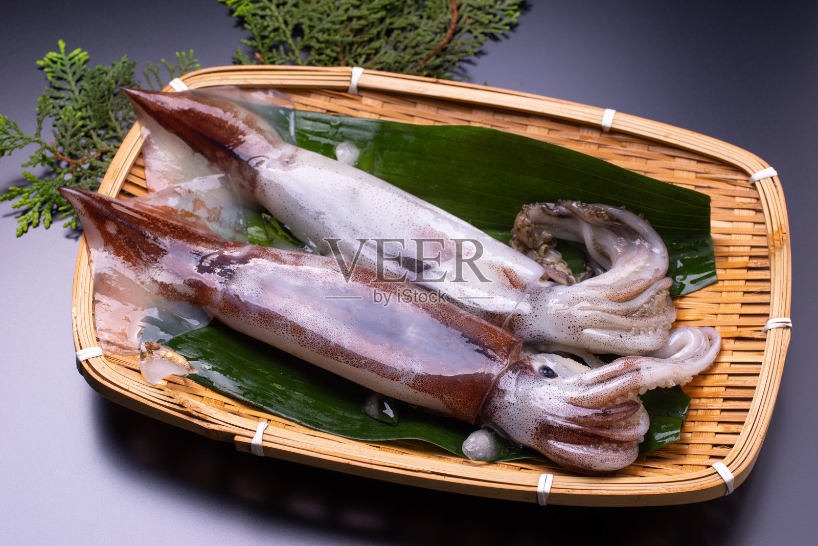 日本飞鱿鱼照片摄影图片