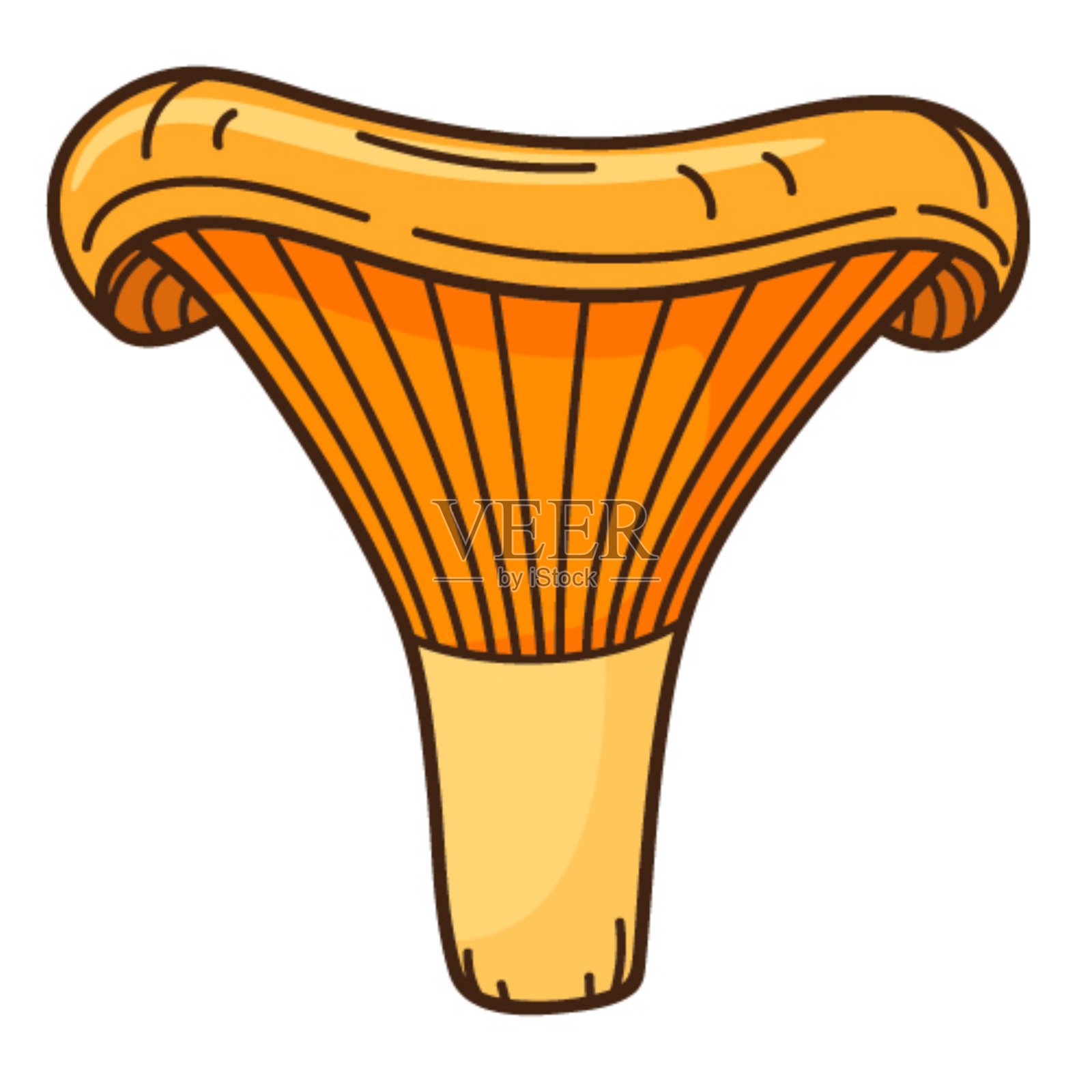 橘林菇，鸡油菌。象征着森林、秋天和丰收。带有轮廓的设计元素。手绘涂鸦。平面设计。颜色向量插图。孤立在白色的。插画图片素材